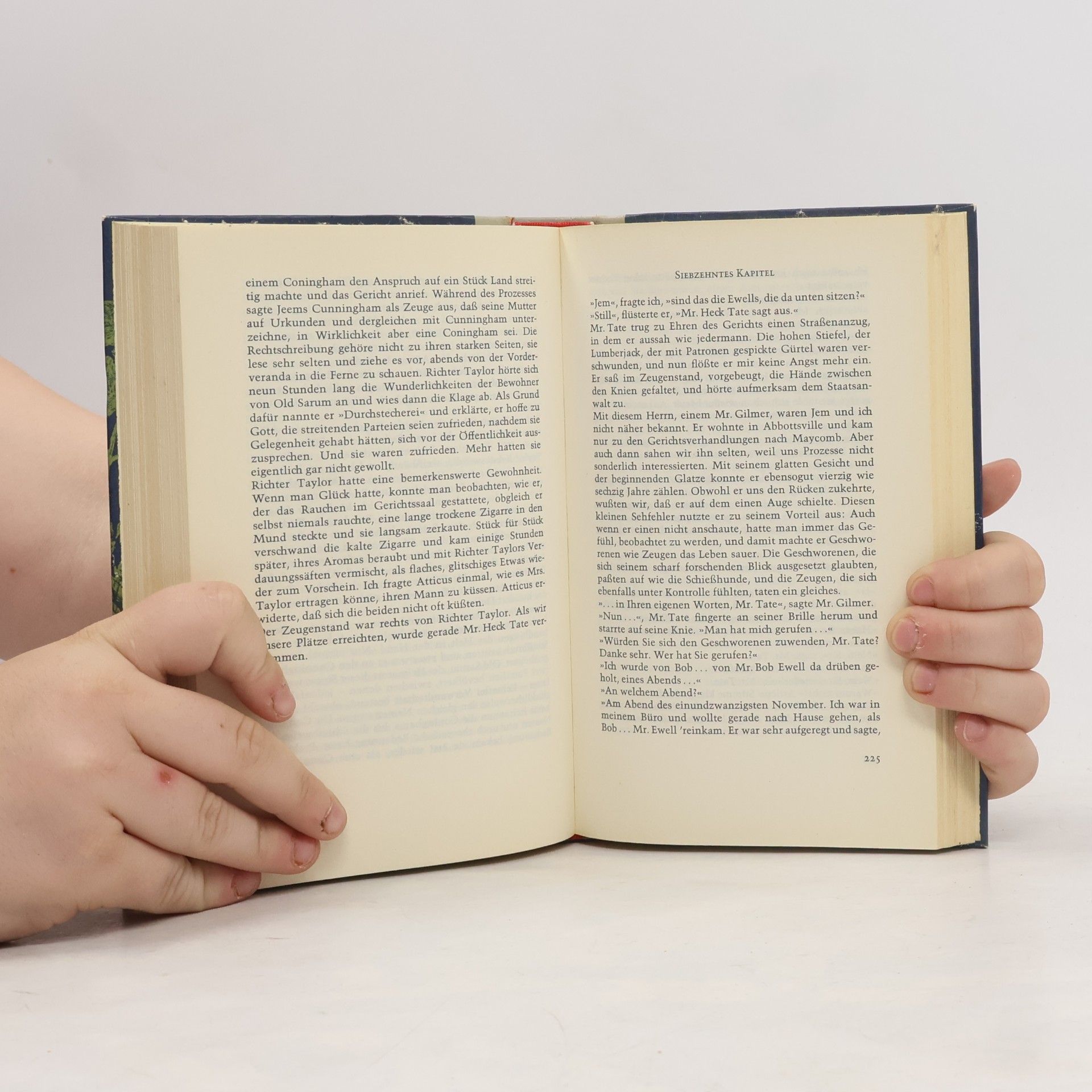 Harper Lee Wer die Nachtigall stört