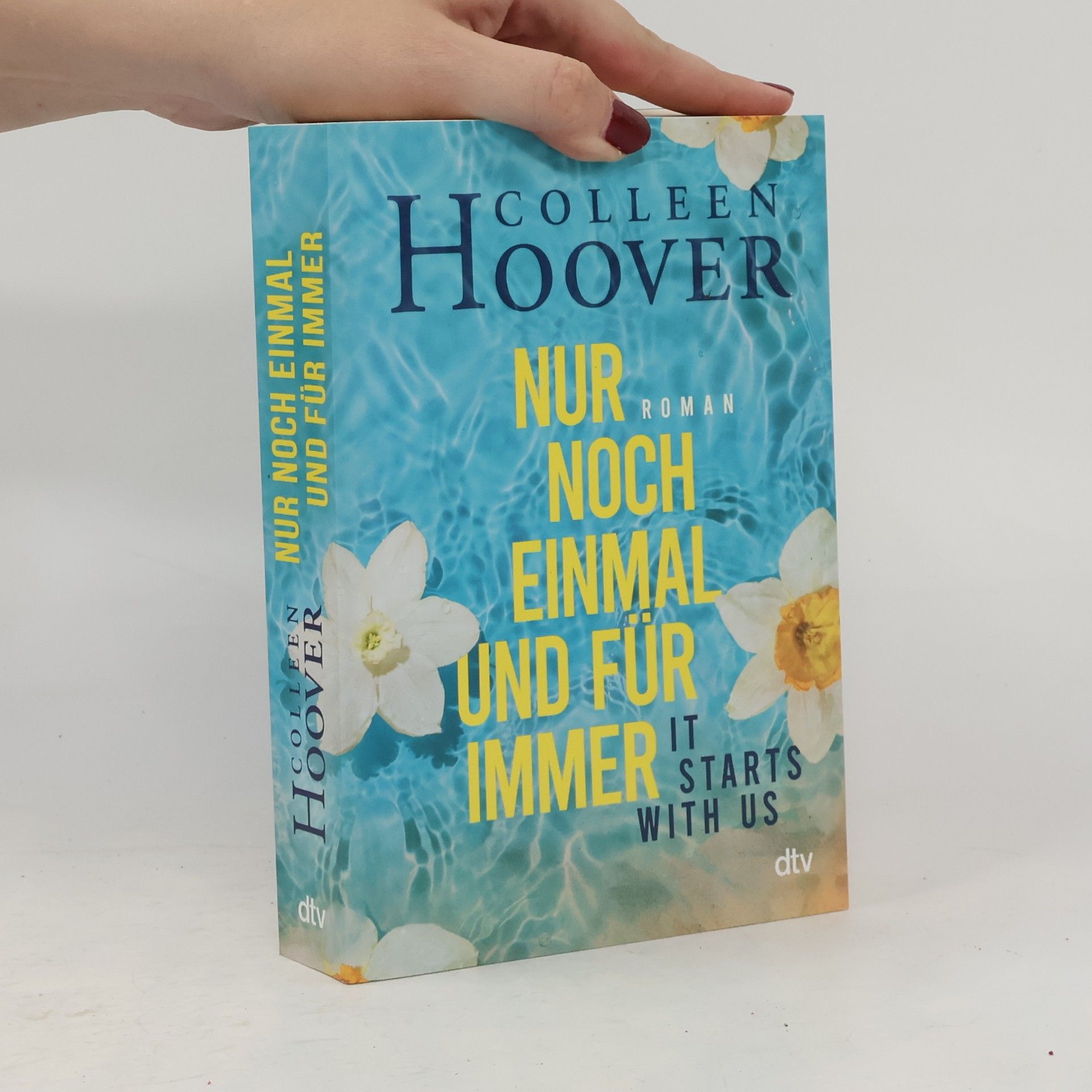 Colleen Hoover Nur noch einmal und für immer