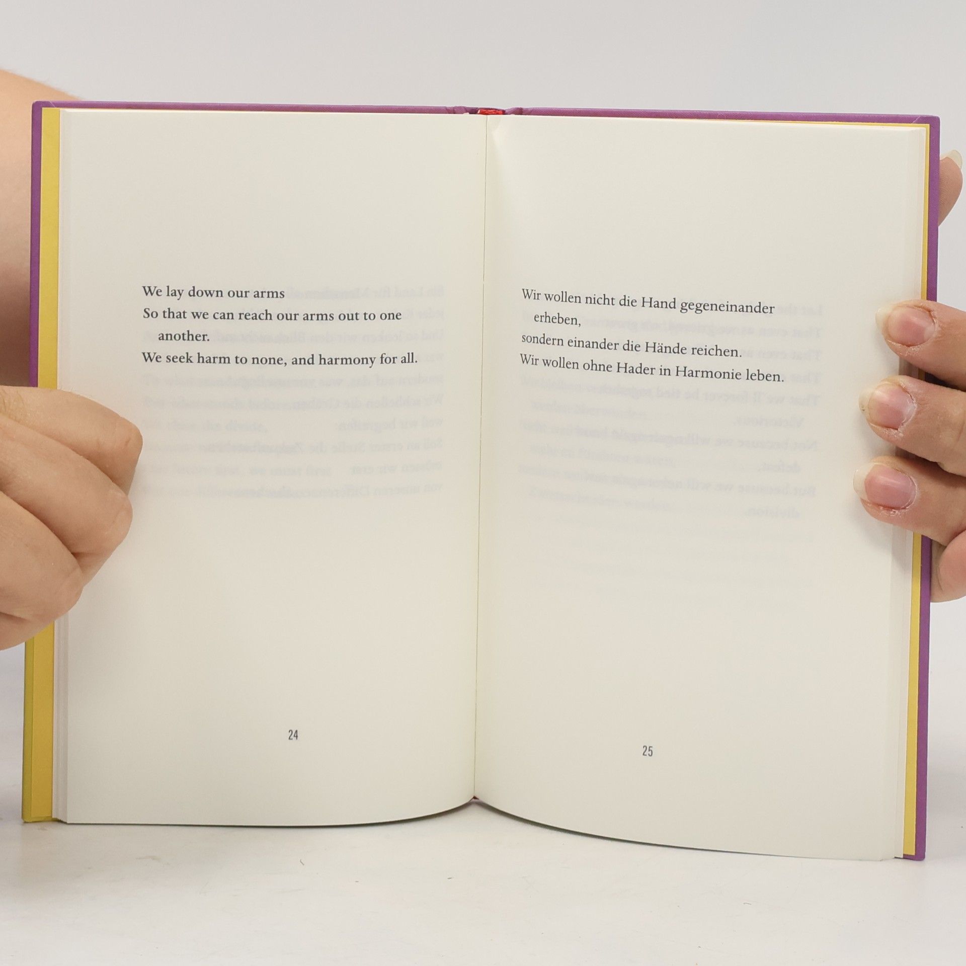 Amanda Gorman The Hill We Climb: Ein Gedicht zur Inauguration