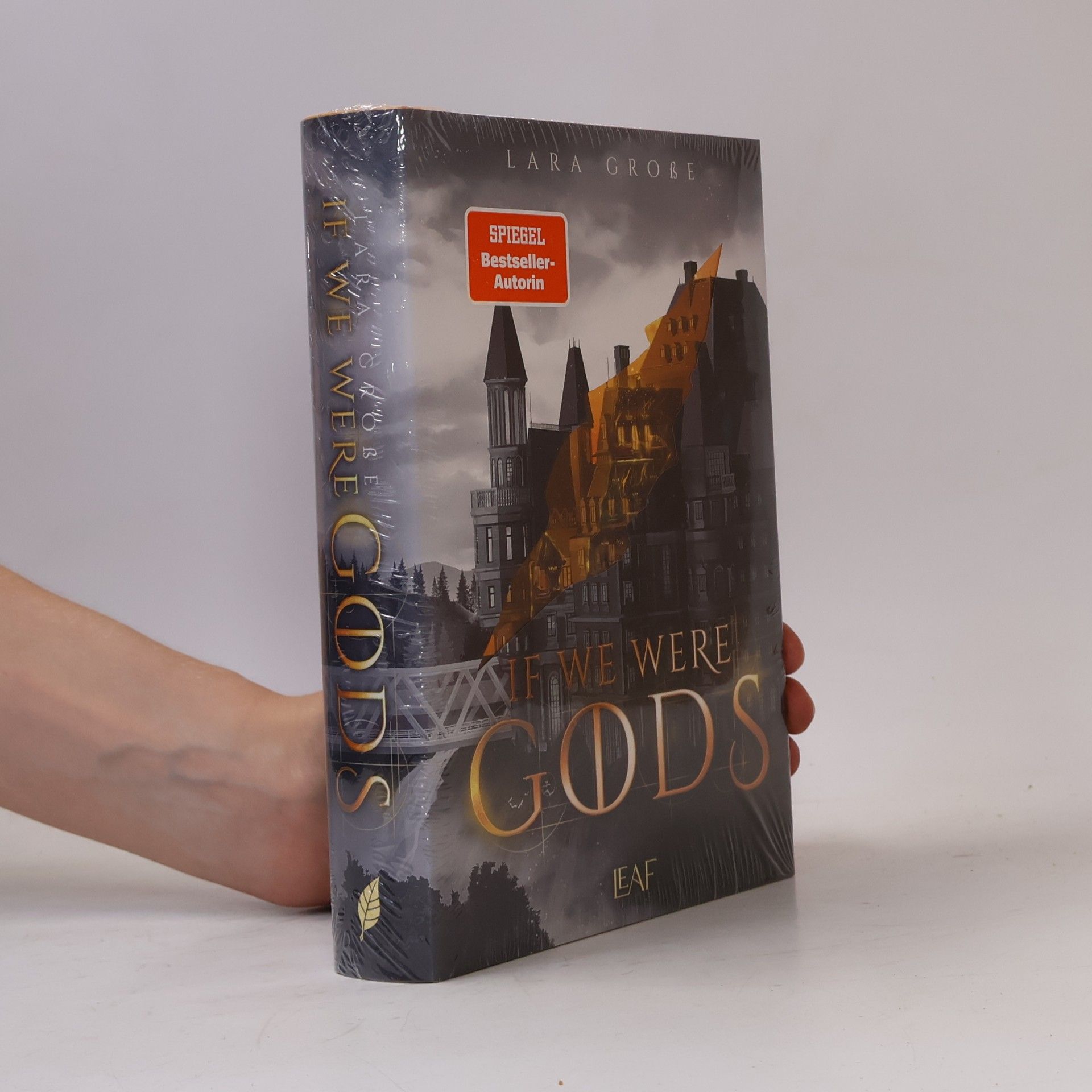 Lara Große If We Were Gods