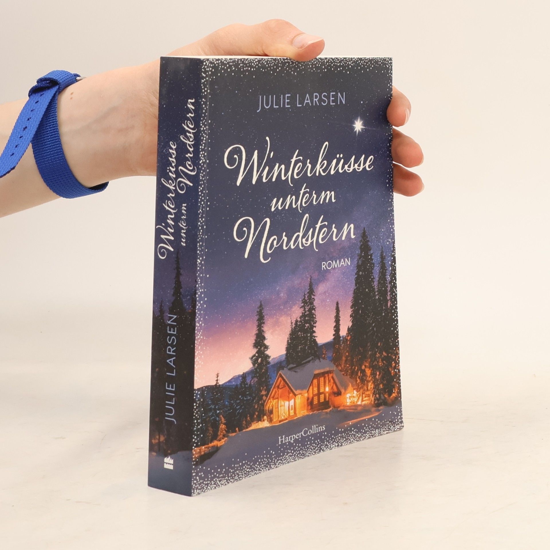 Julie Larsen Winterküsse unterm Nordstern