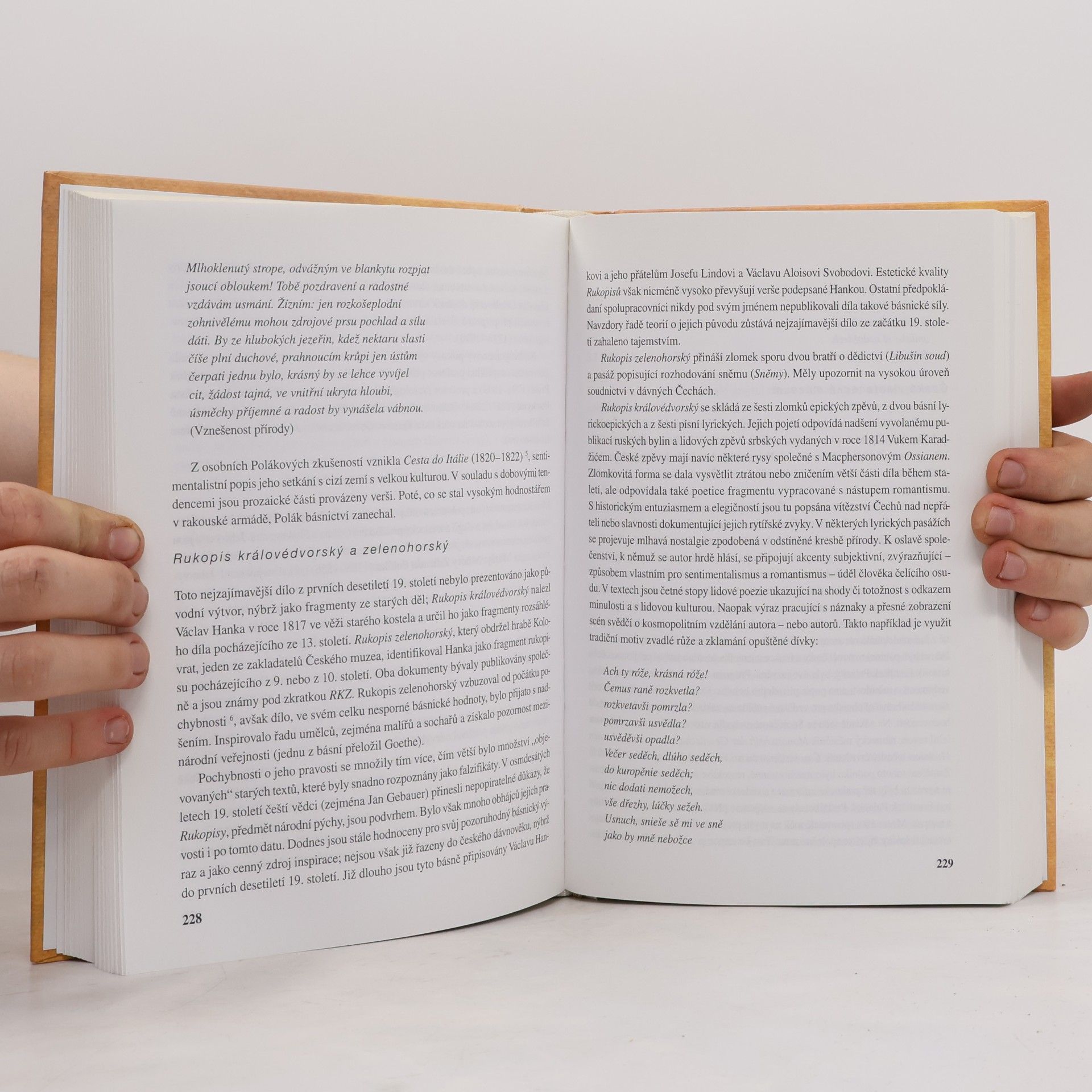Hana Jechova Dějiny české literatury