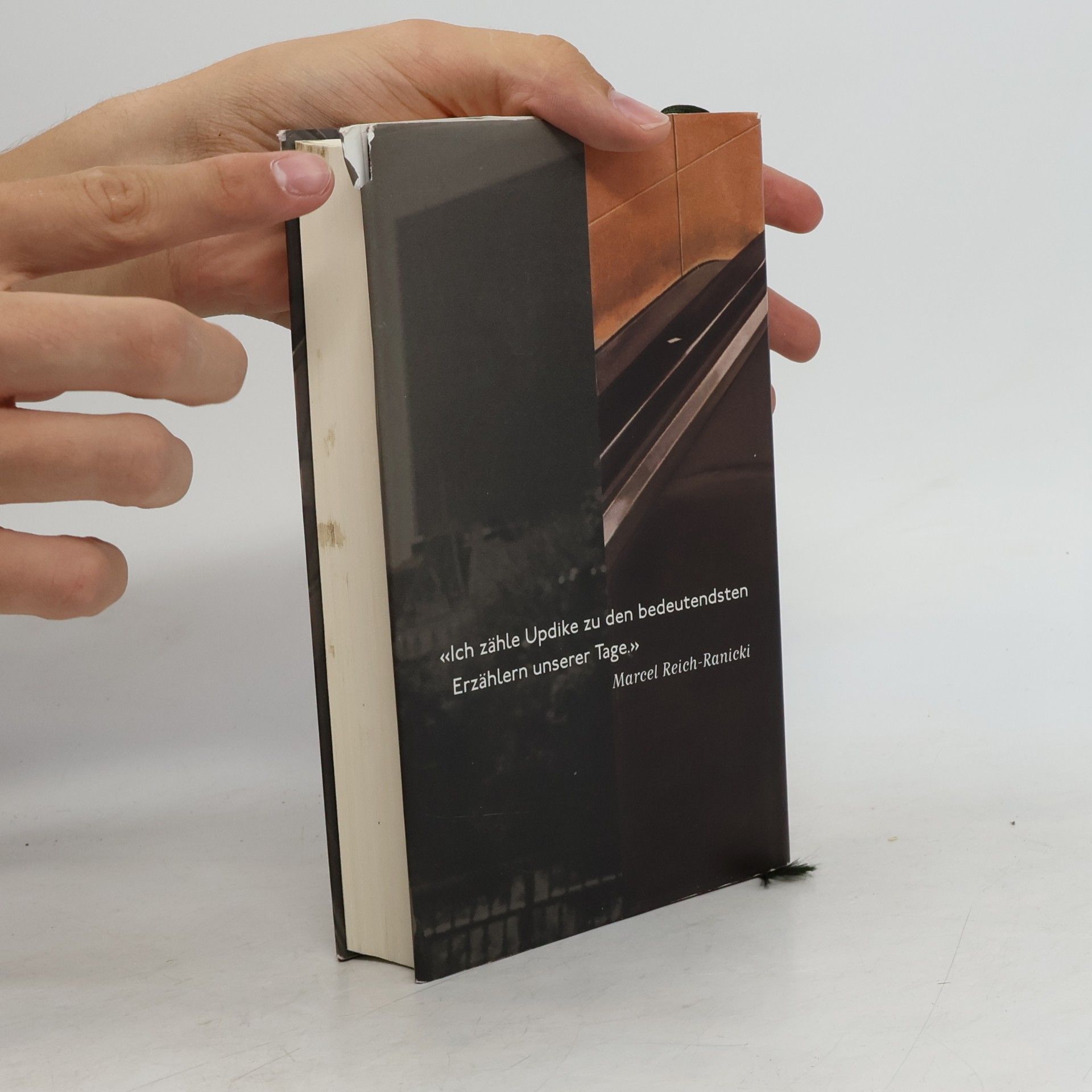 John Updike Gegen Ende der Zeit