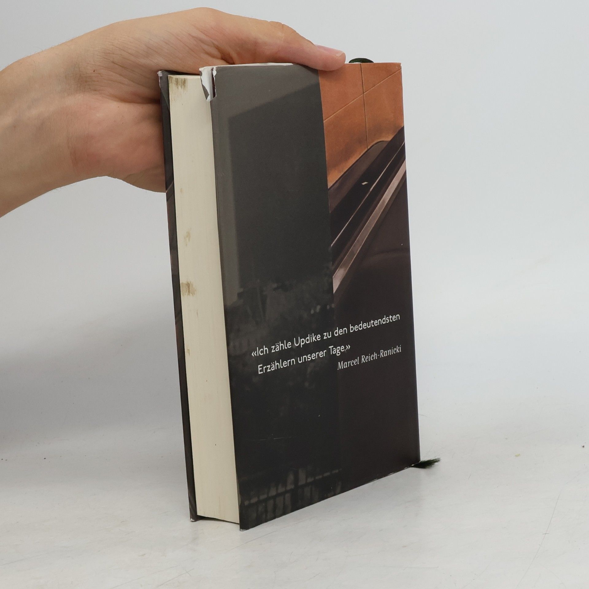 John Updike Gegen Ende der Zeit