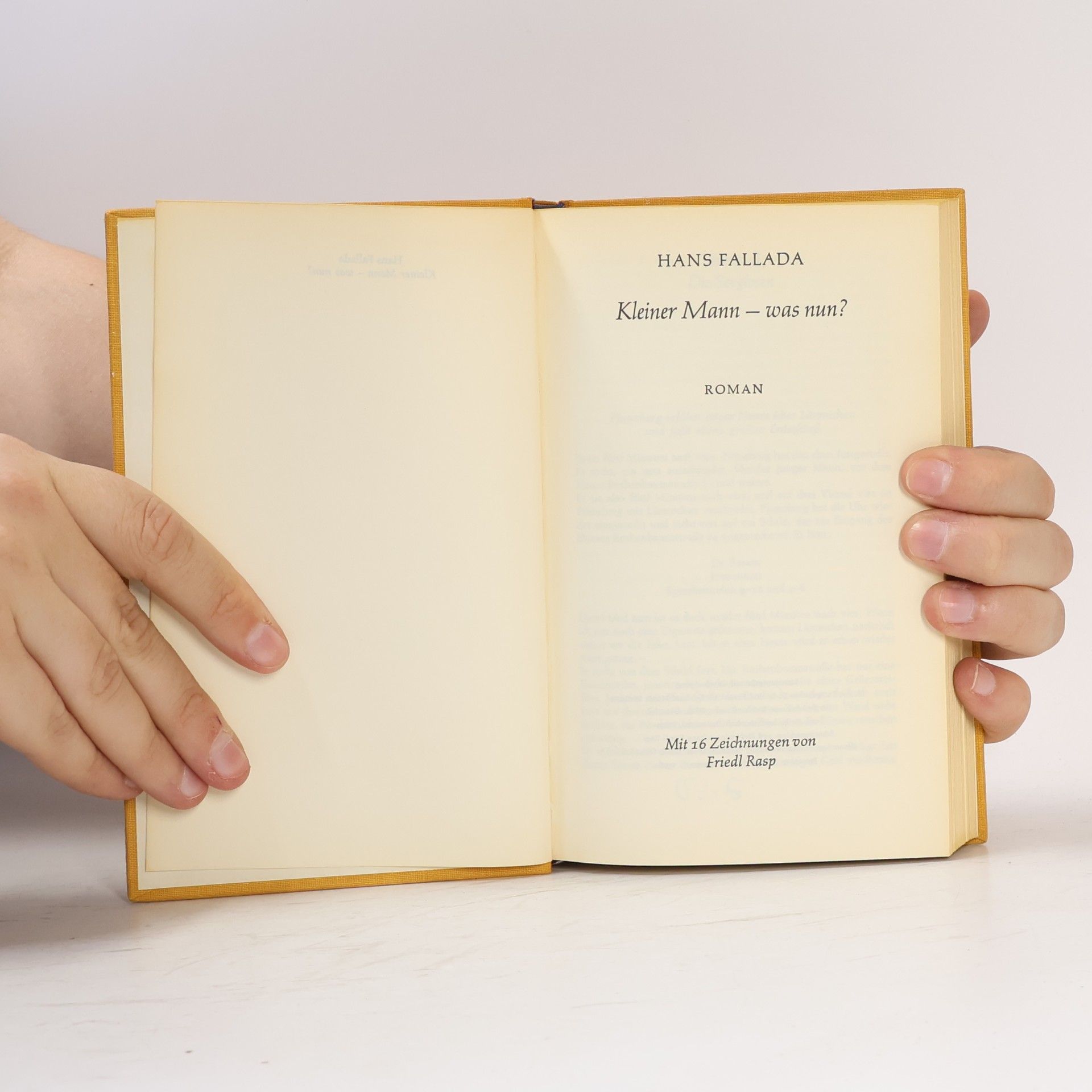 Hans Fallada Kleiner Mann - was nun?