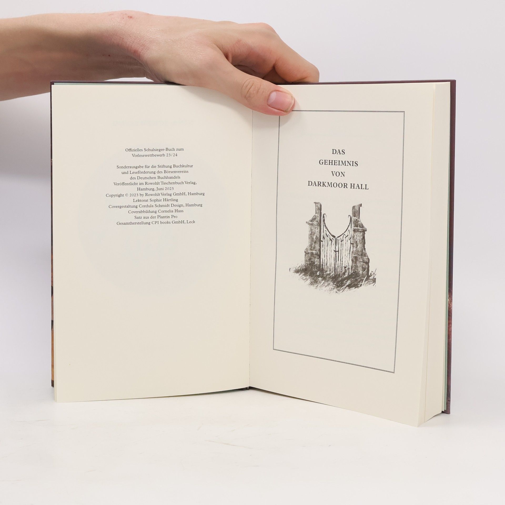 Nina Scheweling Das Geheimnis Darkmoor Hall 1
