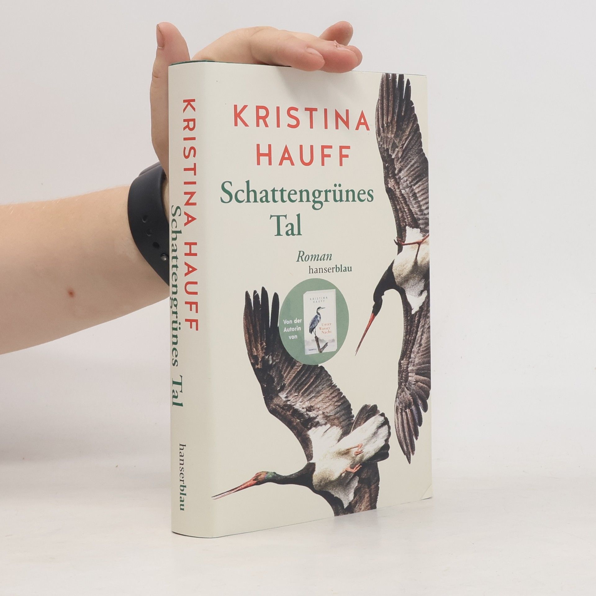 Kristina Hauff Schattengrünes Tal