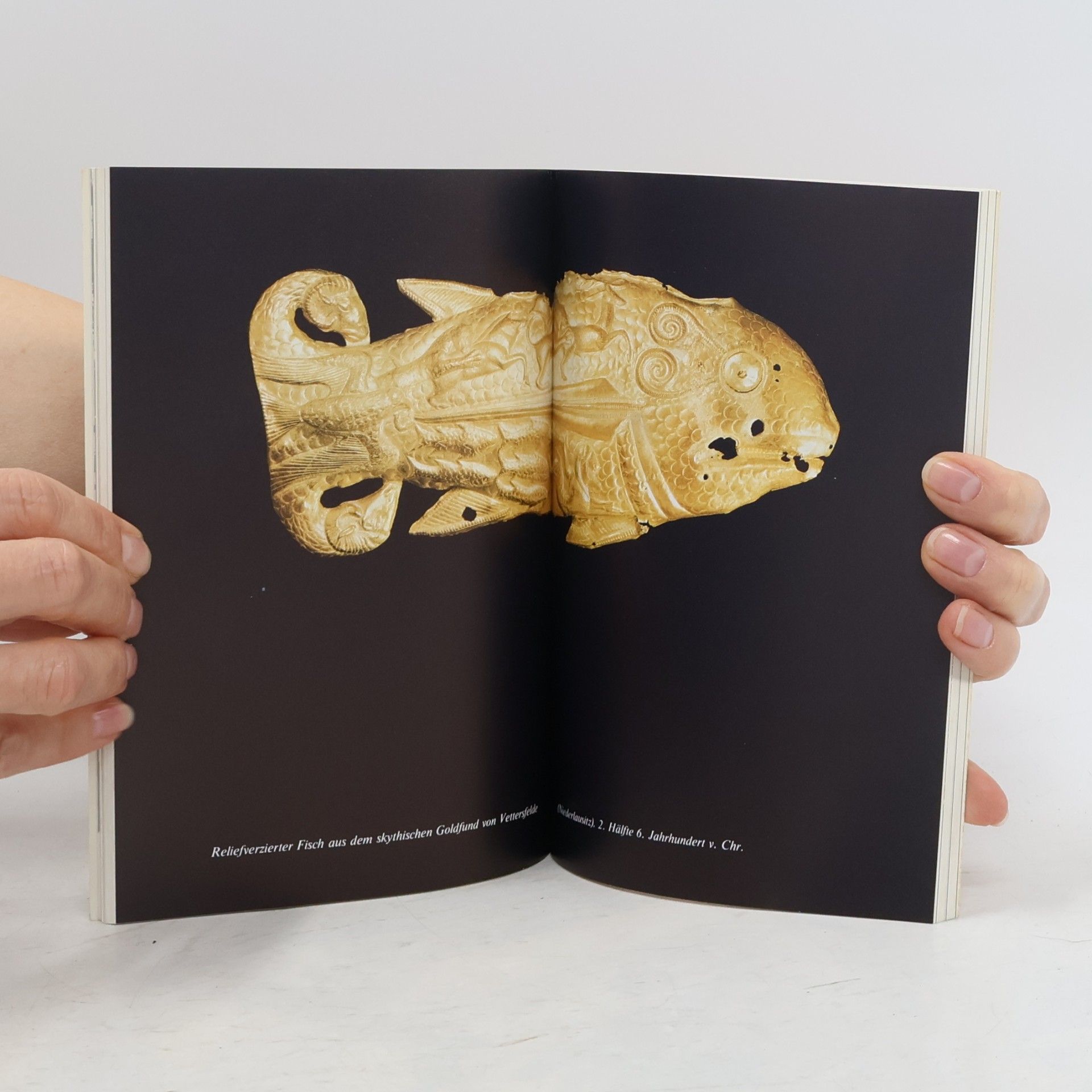 Collectif d'auteurs Antikenmuseum Berlin