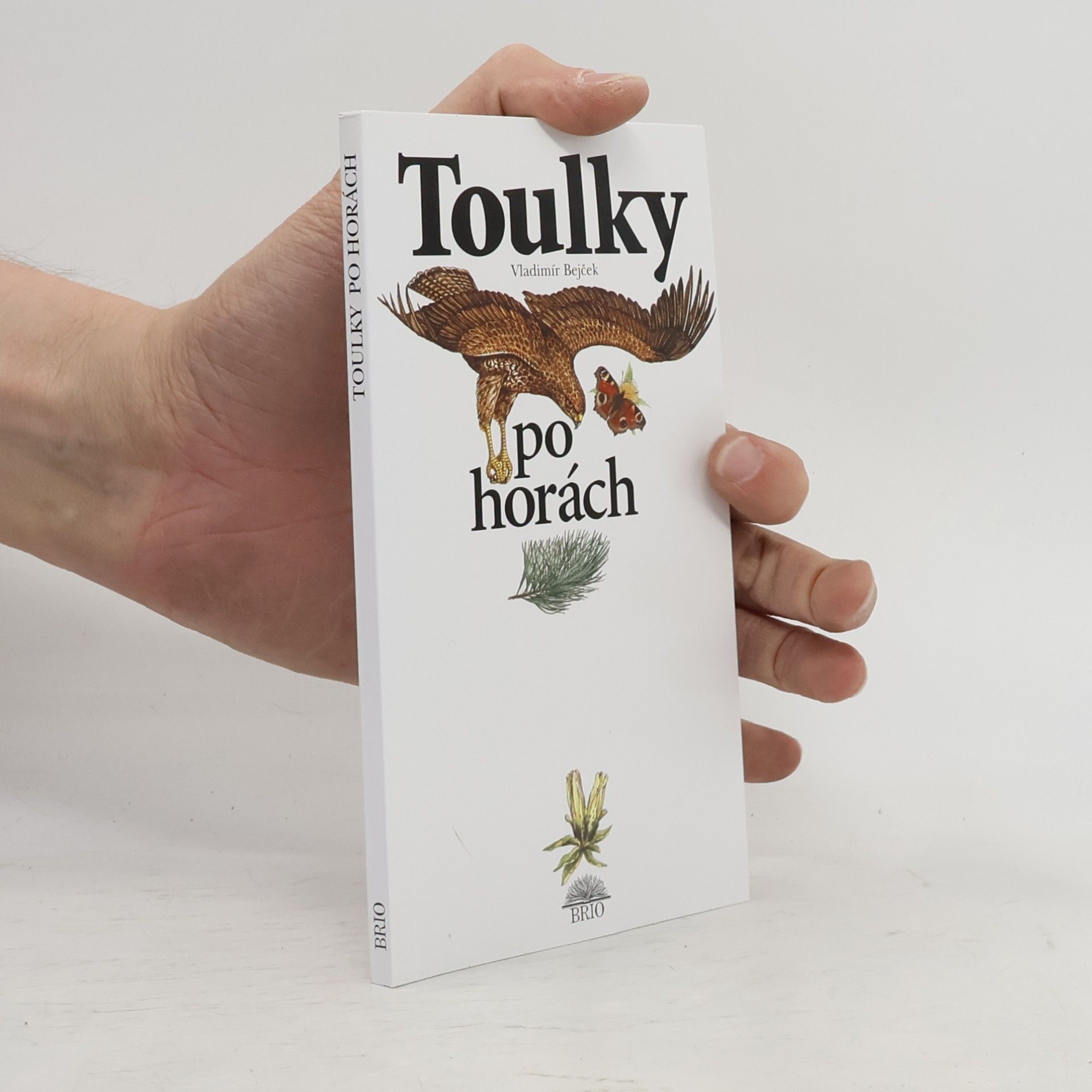 Toulky po horách