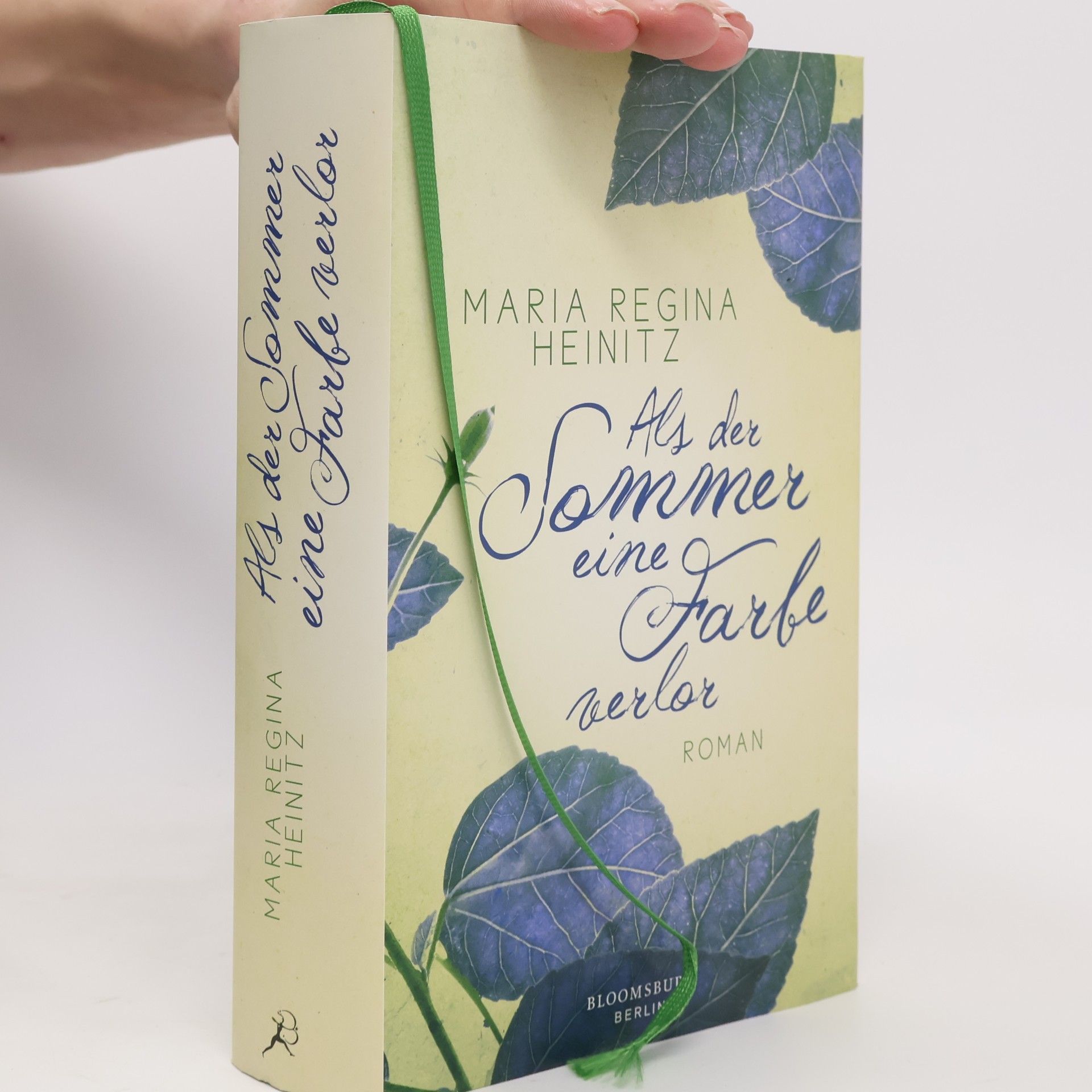 Maria Regina Heinitz Als der Sommer eine Farbe verlor