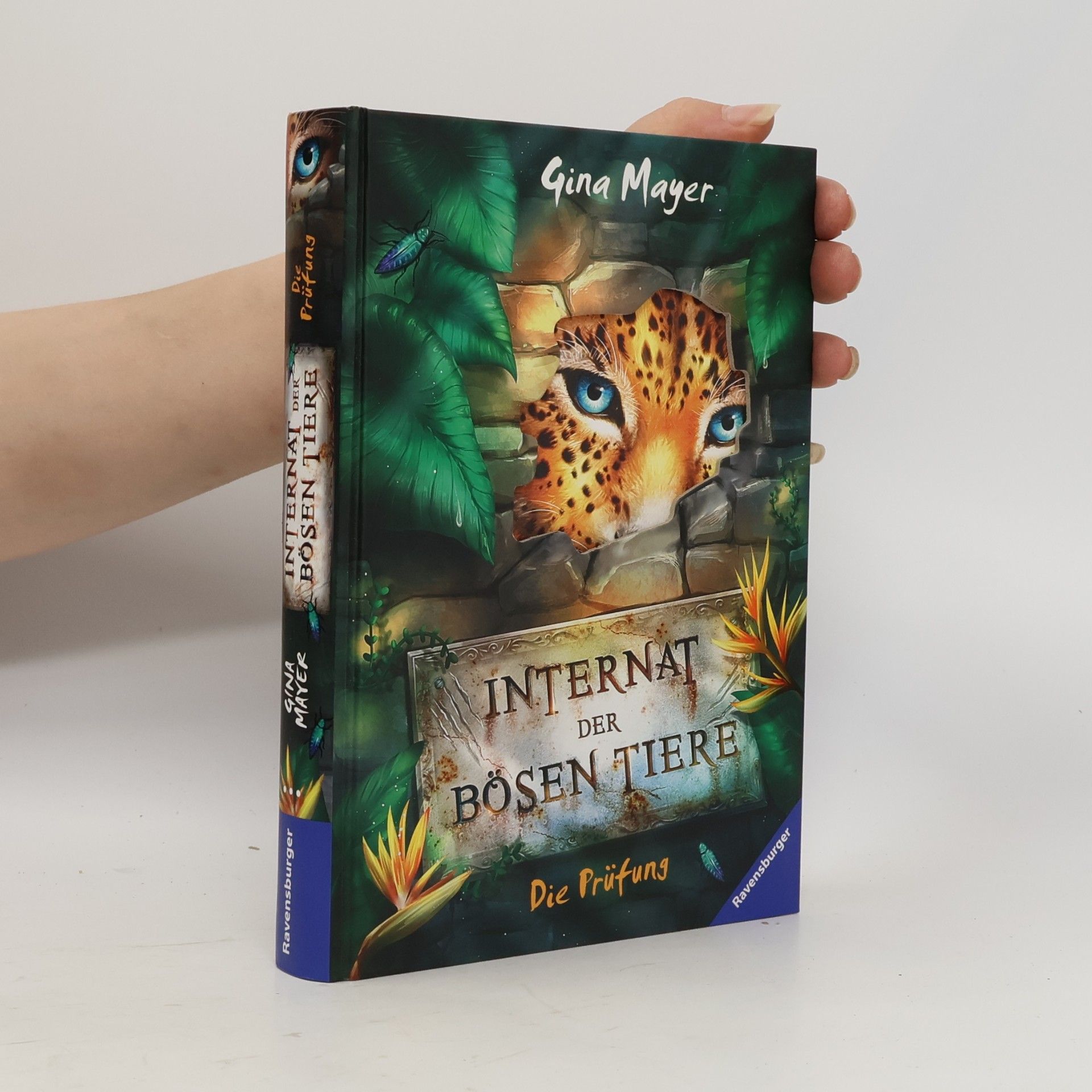 Gina Mayer Das Internat der bösen Tiere