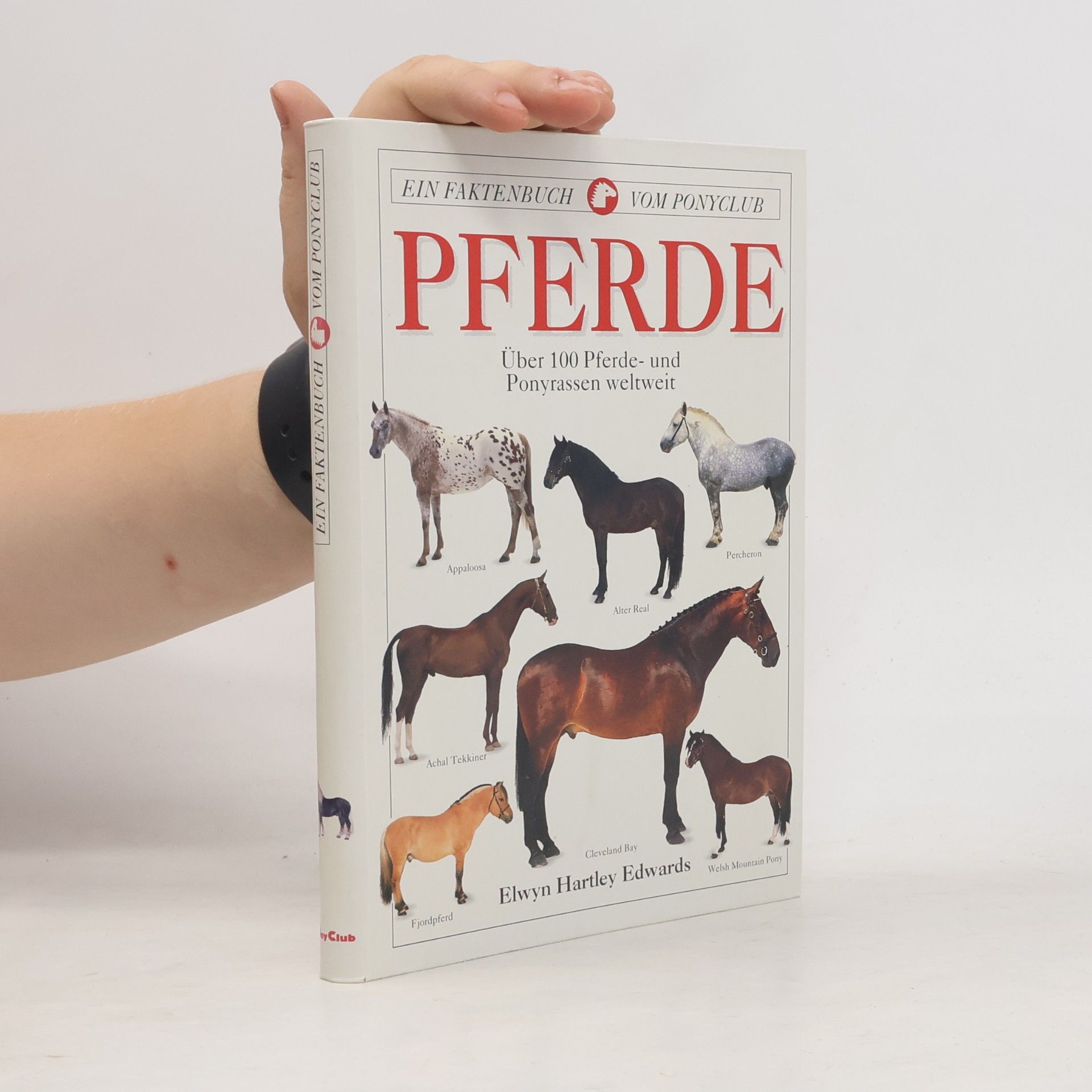 Pferde