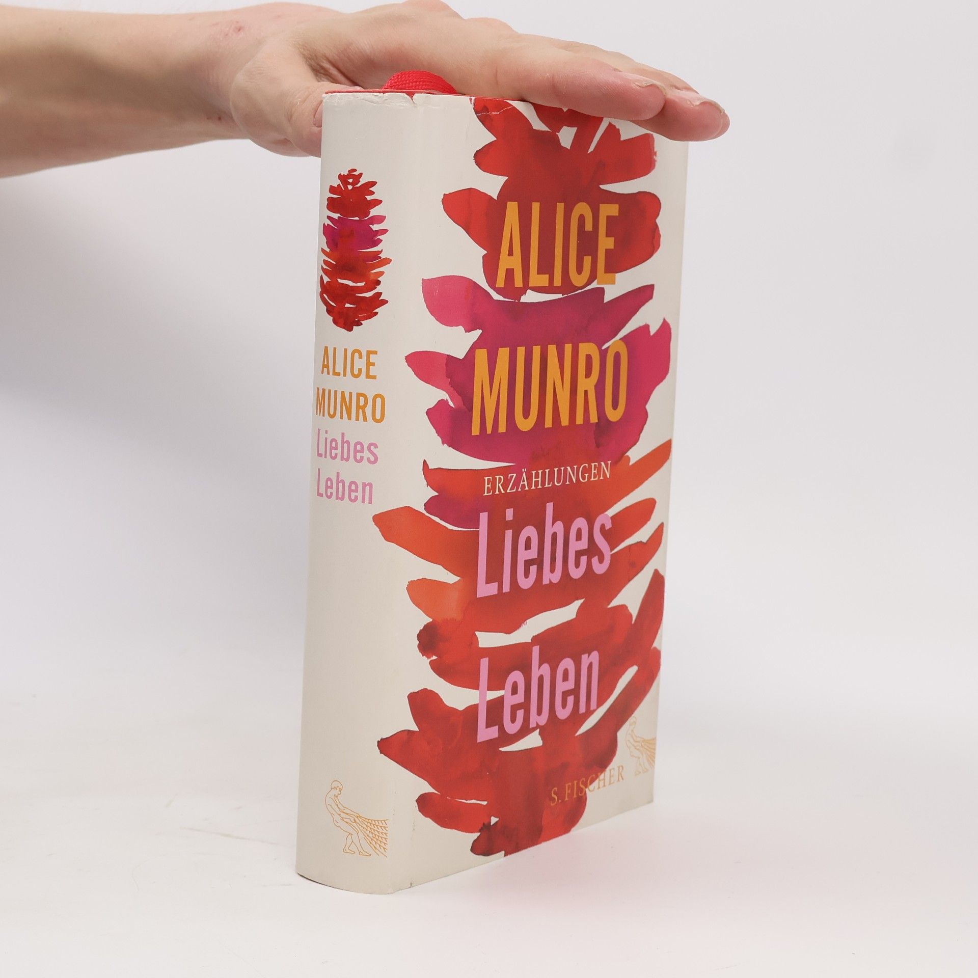 Alice Munro Liebes Leben