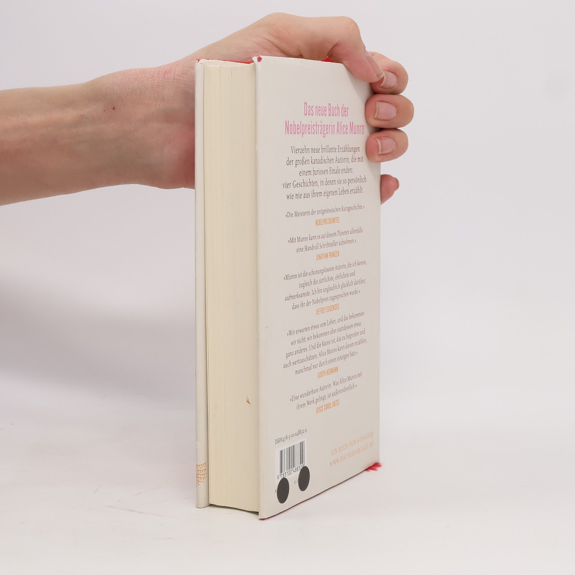 Alice Munro Liebes Leben
