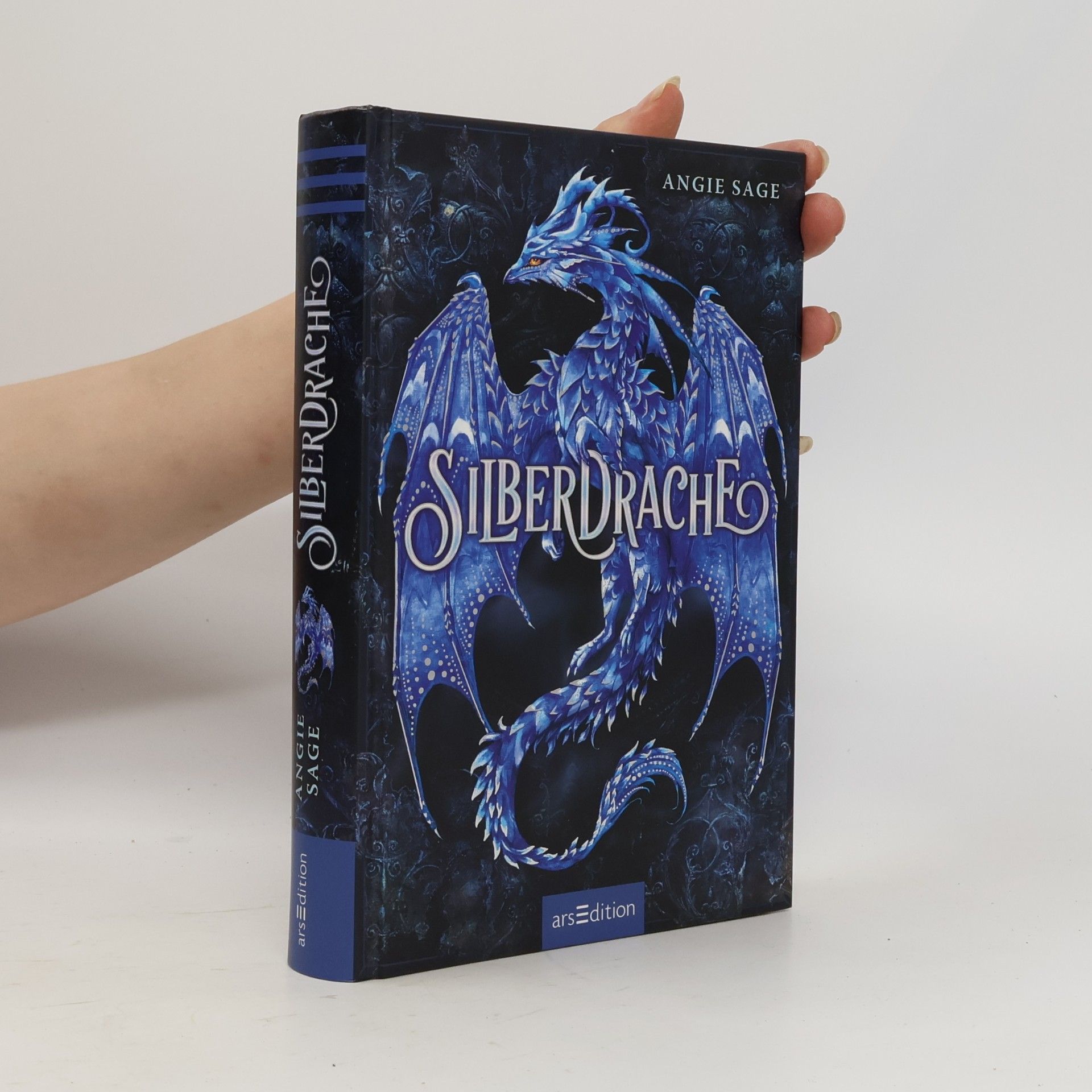Angie Sage Silberdrache