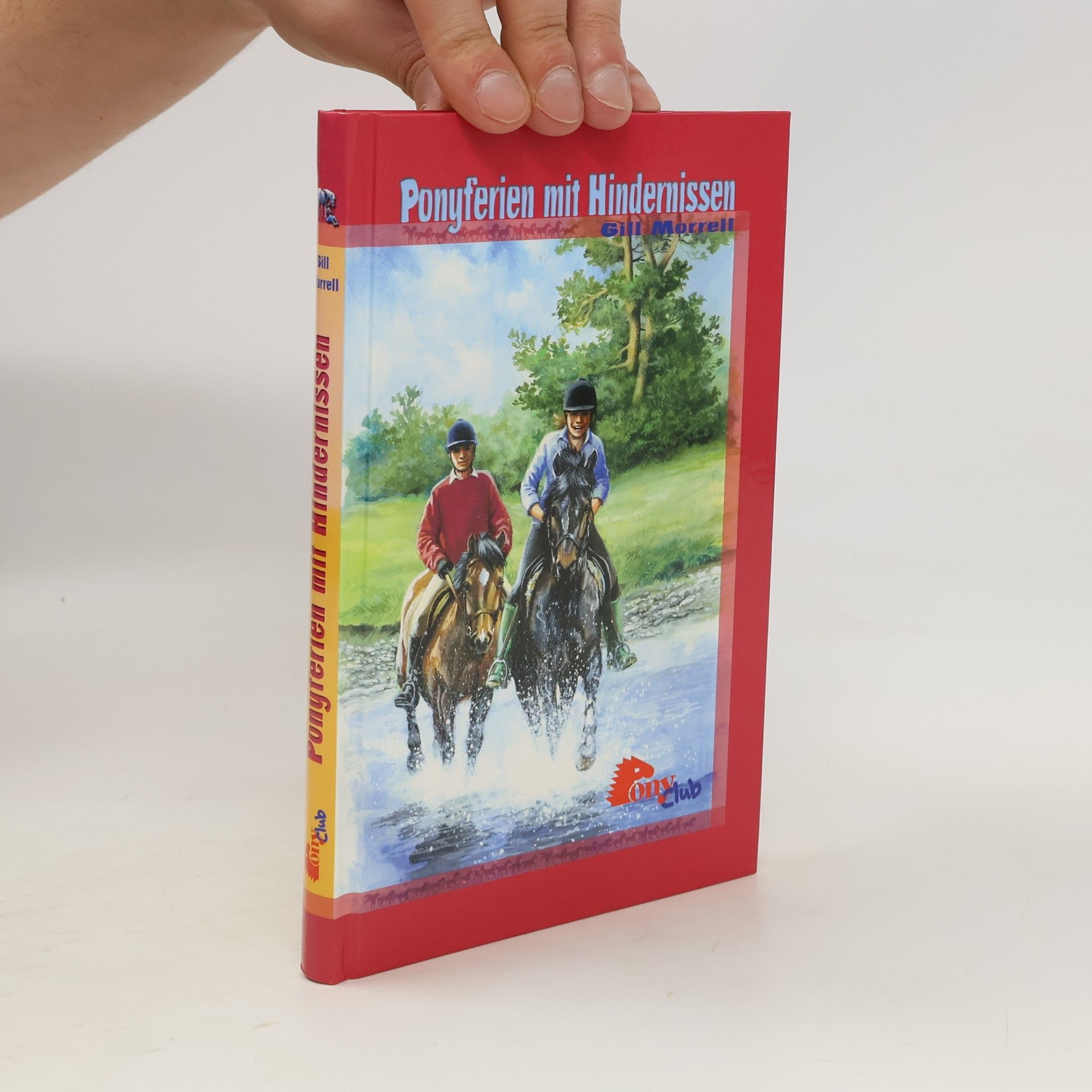 Gill Morrell Ponyferien mit Hindernissen