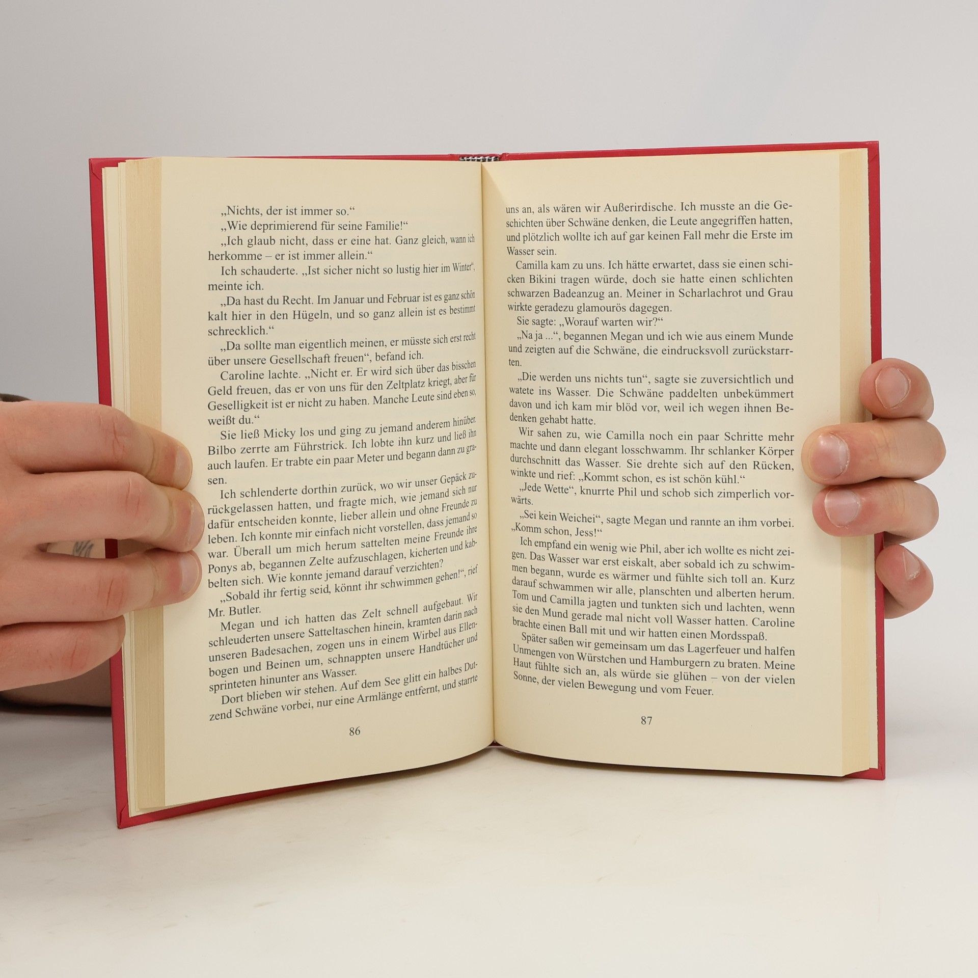 Gill Morrell Ponyferien mit Hindernissen