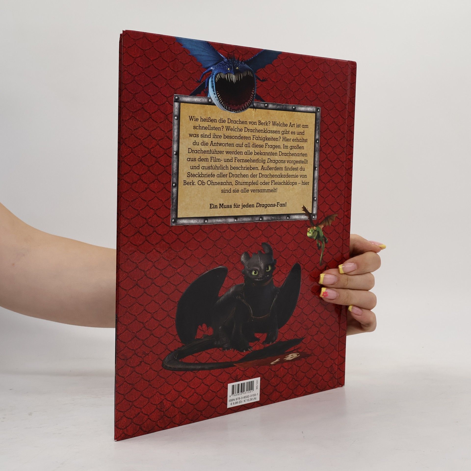 Maggie Testa DreamWorks Dragons - der große Drachenführer