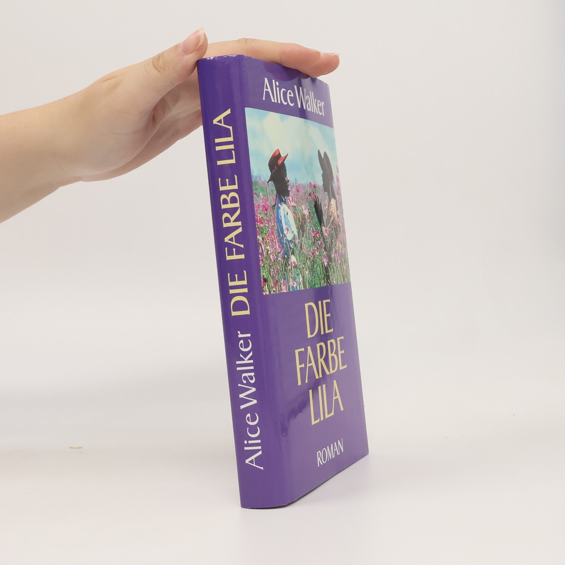 Alice Walker Die Farbe Lila