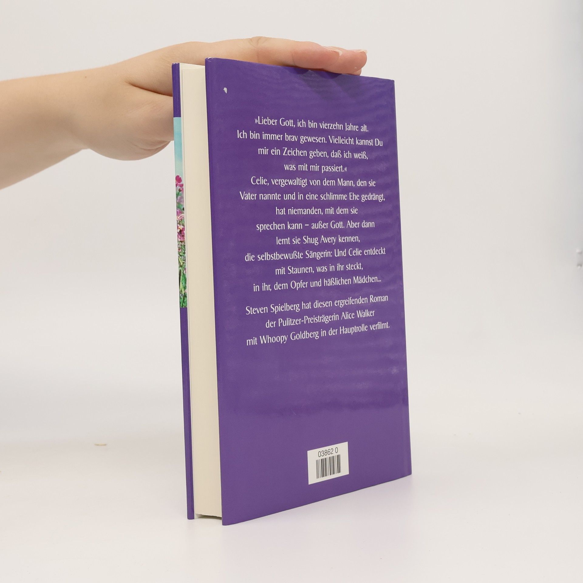 Alice Walker Die Farbe Lila