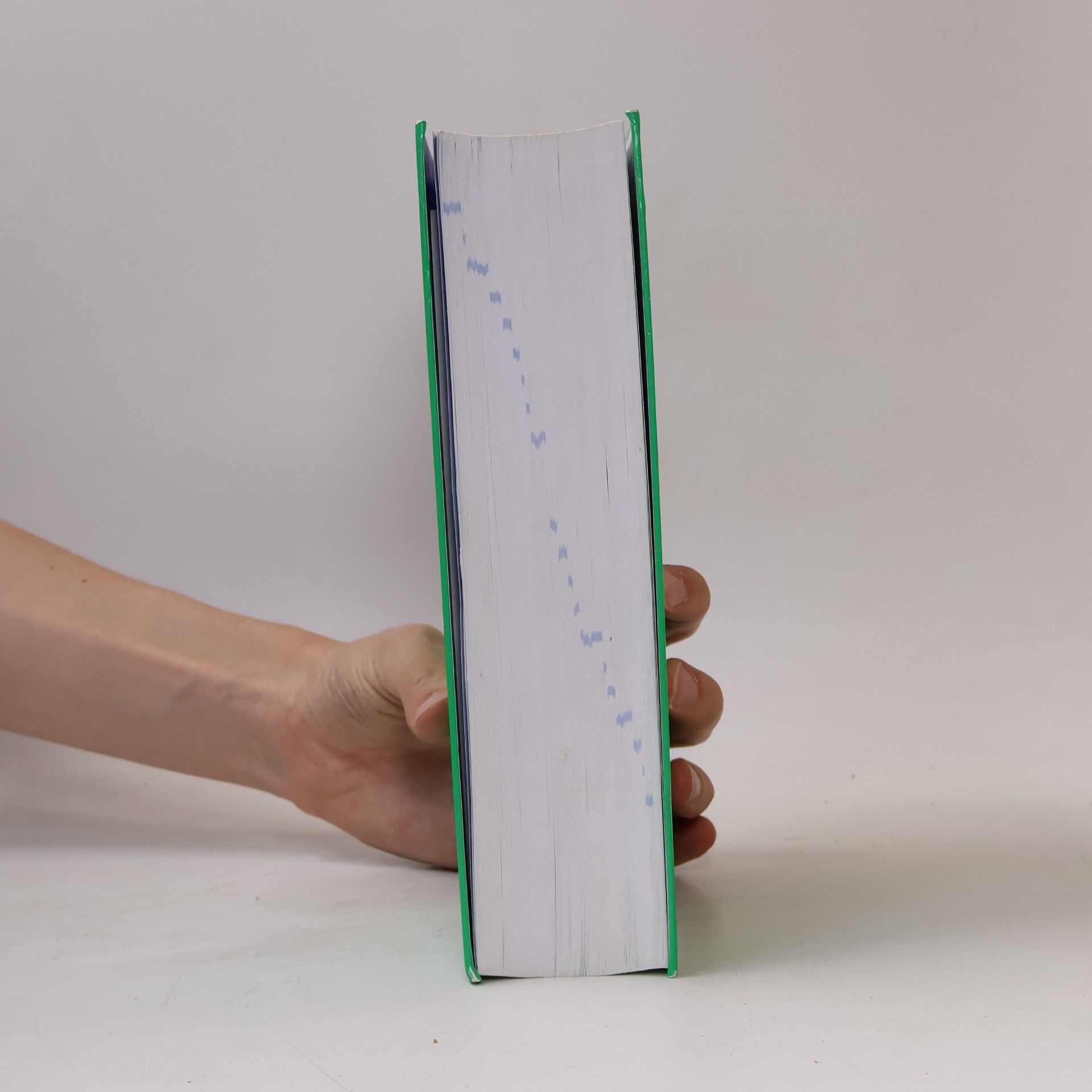 Rita Hau PONS Wörterbuch für Schule und Studium - Latein