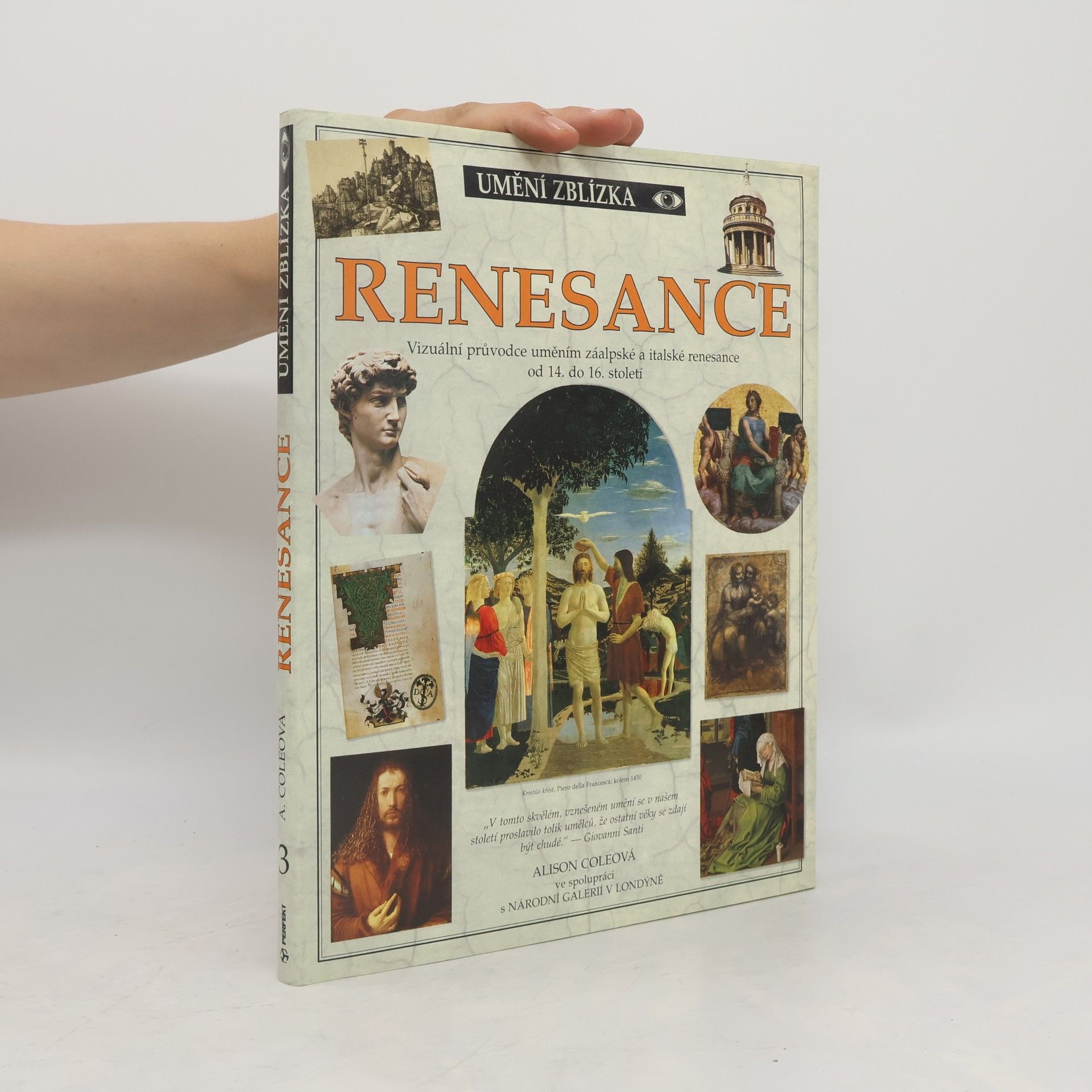 Alison Cole Renesance