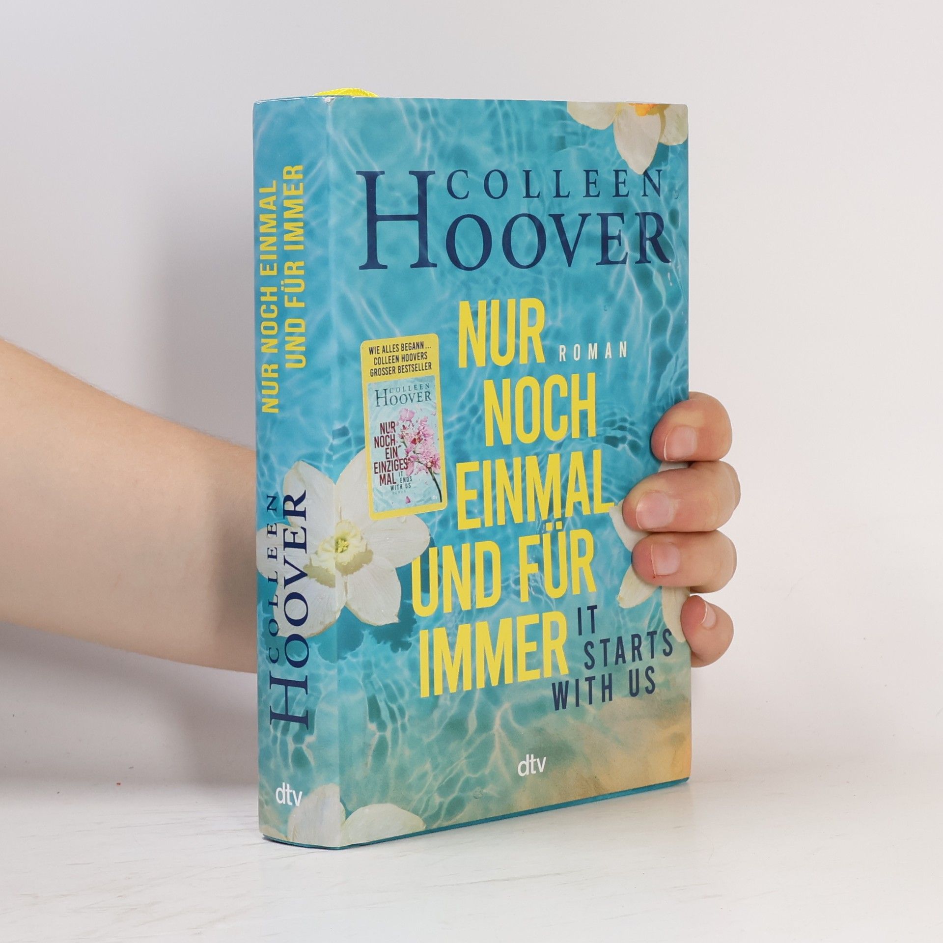 Colleen Hoover Nur noch einmal und für immer