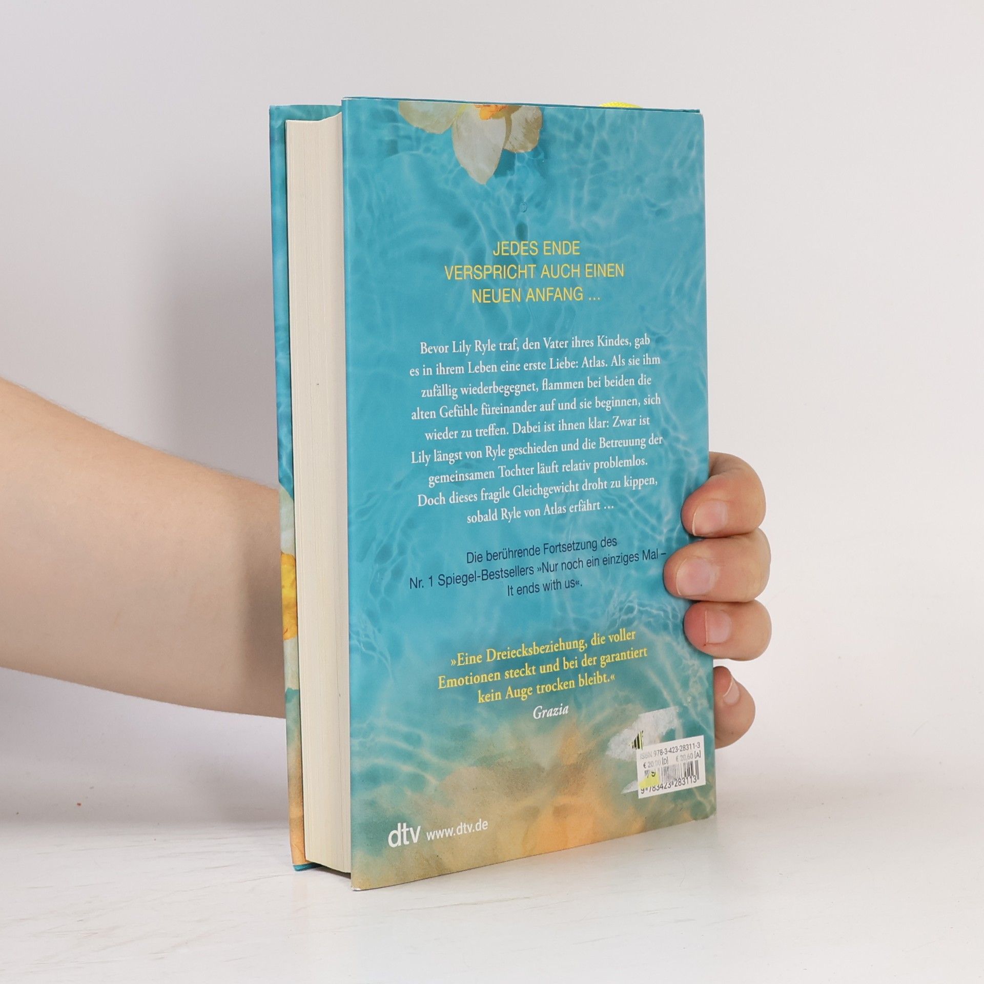 Colleen Hoover Nur noch einmal und für immer