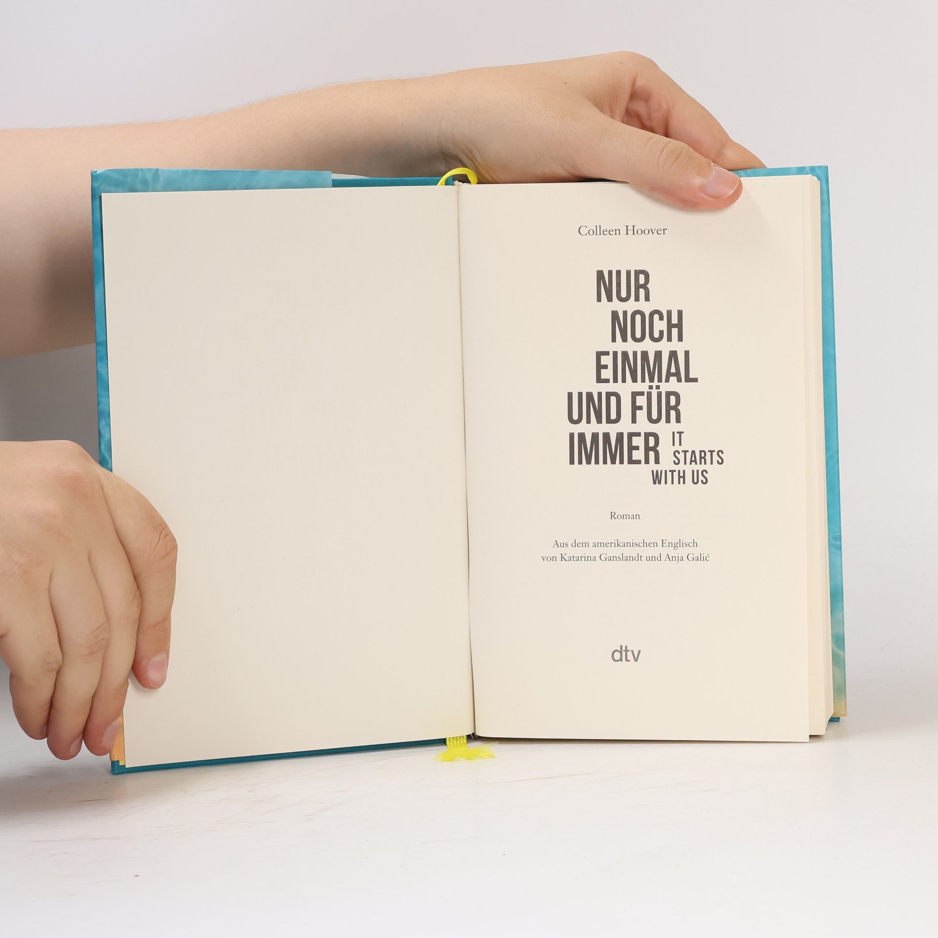 Colleen Hoover Nur noch einmal und für immer