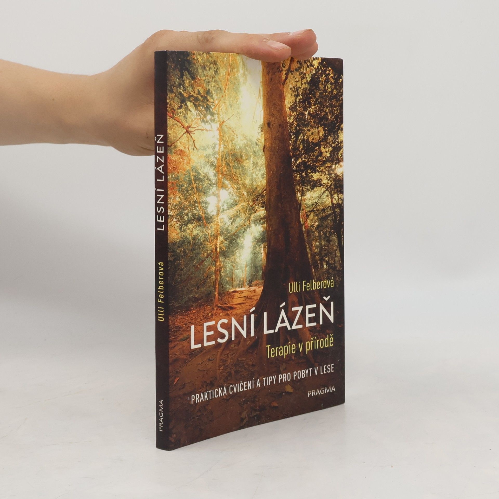 Ulli Felber Lesní lázeň - Terapie v přírodě