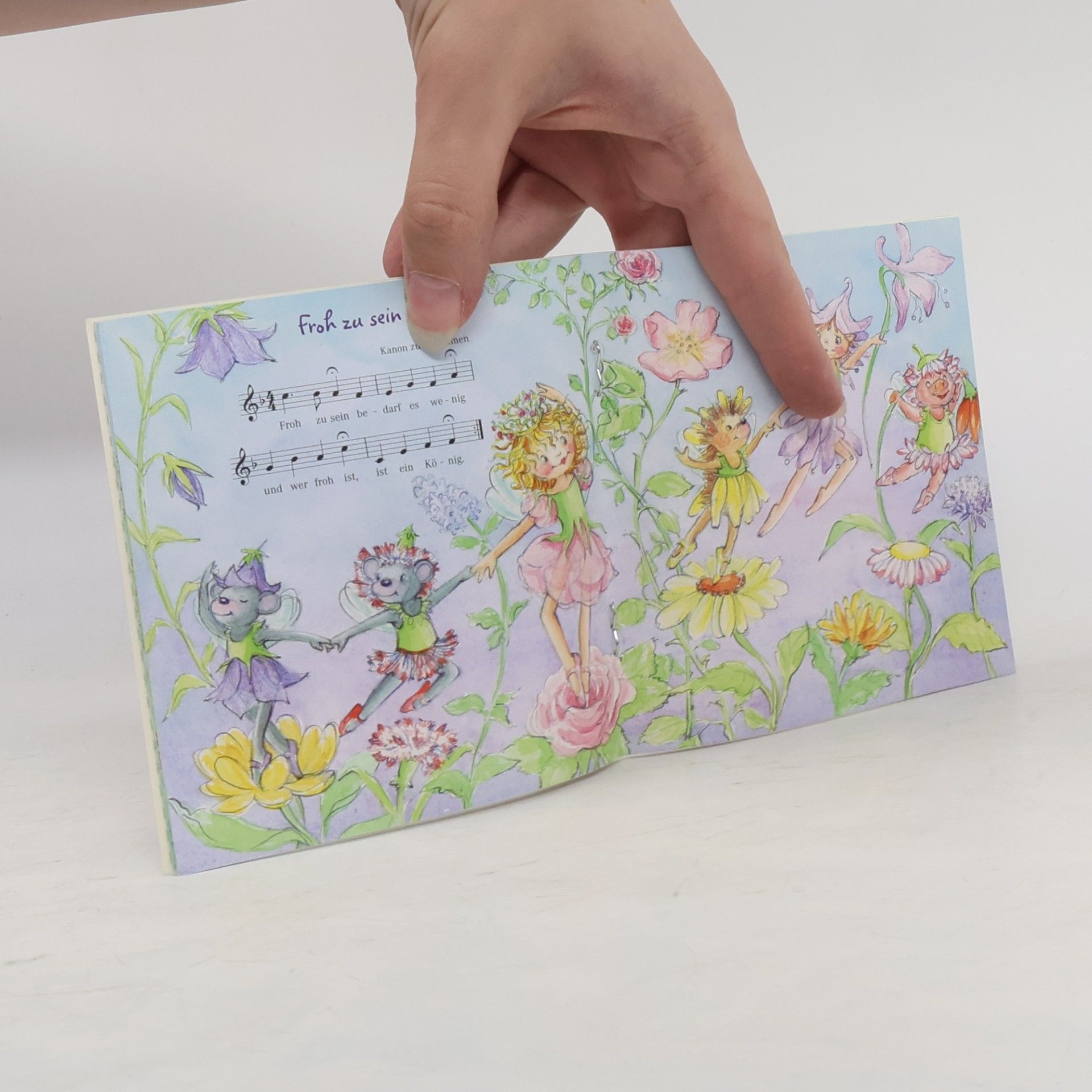 Autorenkollektiv Prinzessin Lillifee