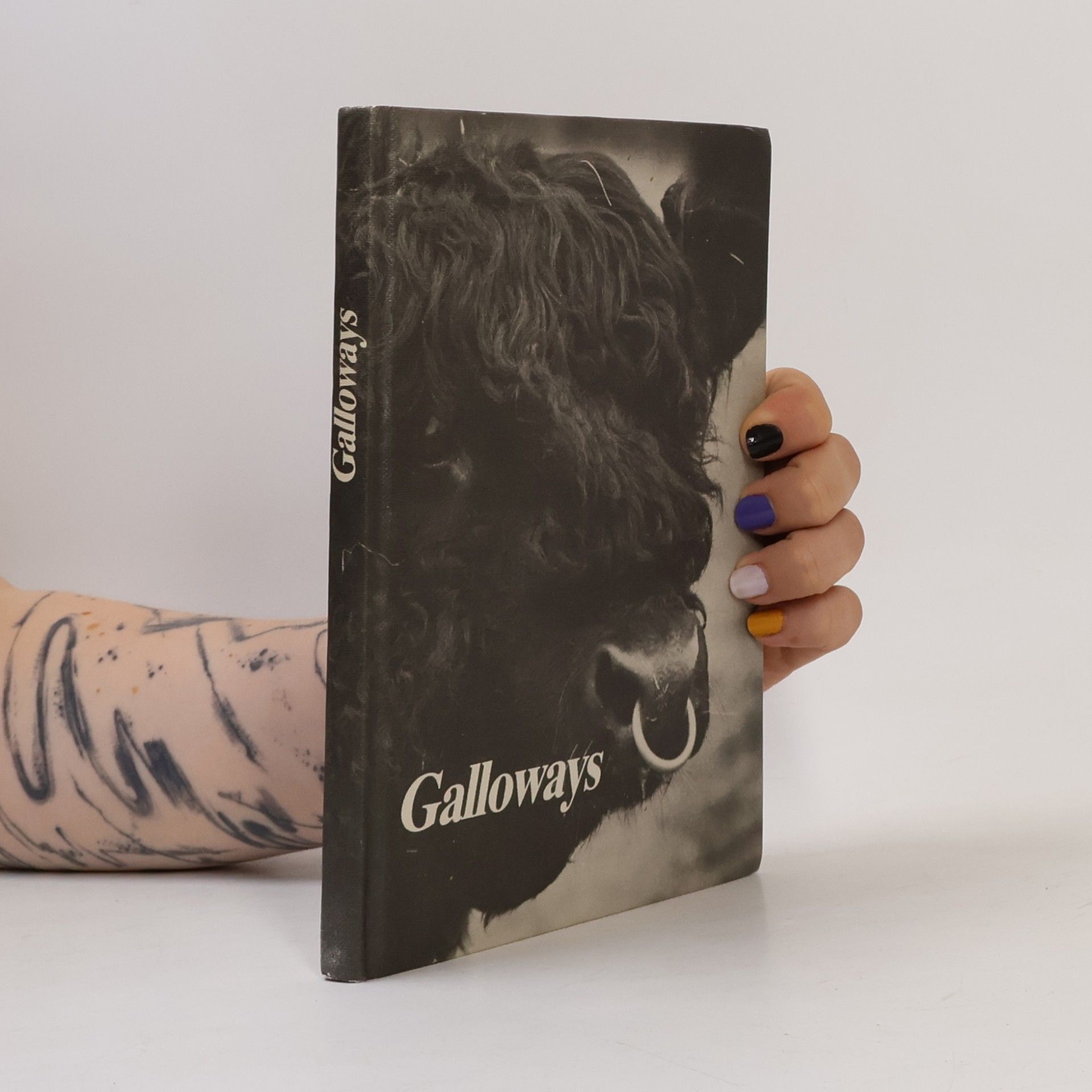 Galloways