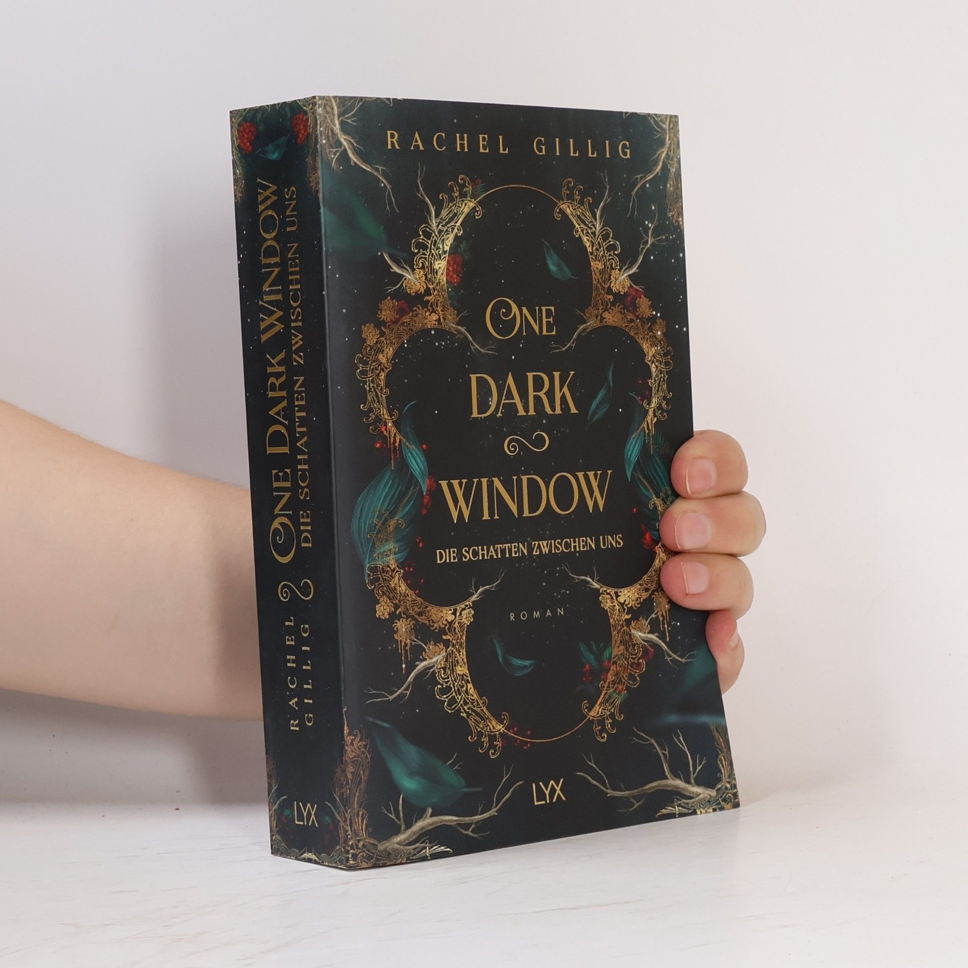Rachel Gillig One Dark Window - Die Schatten zwischen uns