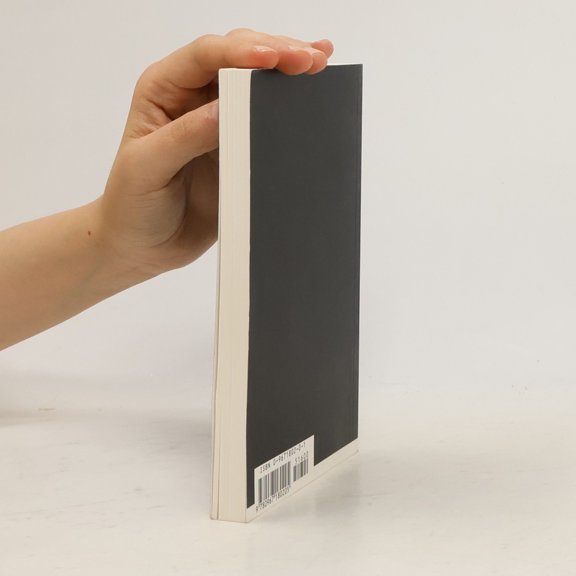 Jeroen de Rijke Pocket-Book Series On Contemporary Art - 2: Jeroen de Rijke, Willem de Rooij, After the Hunt