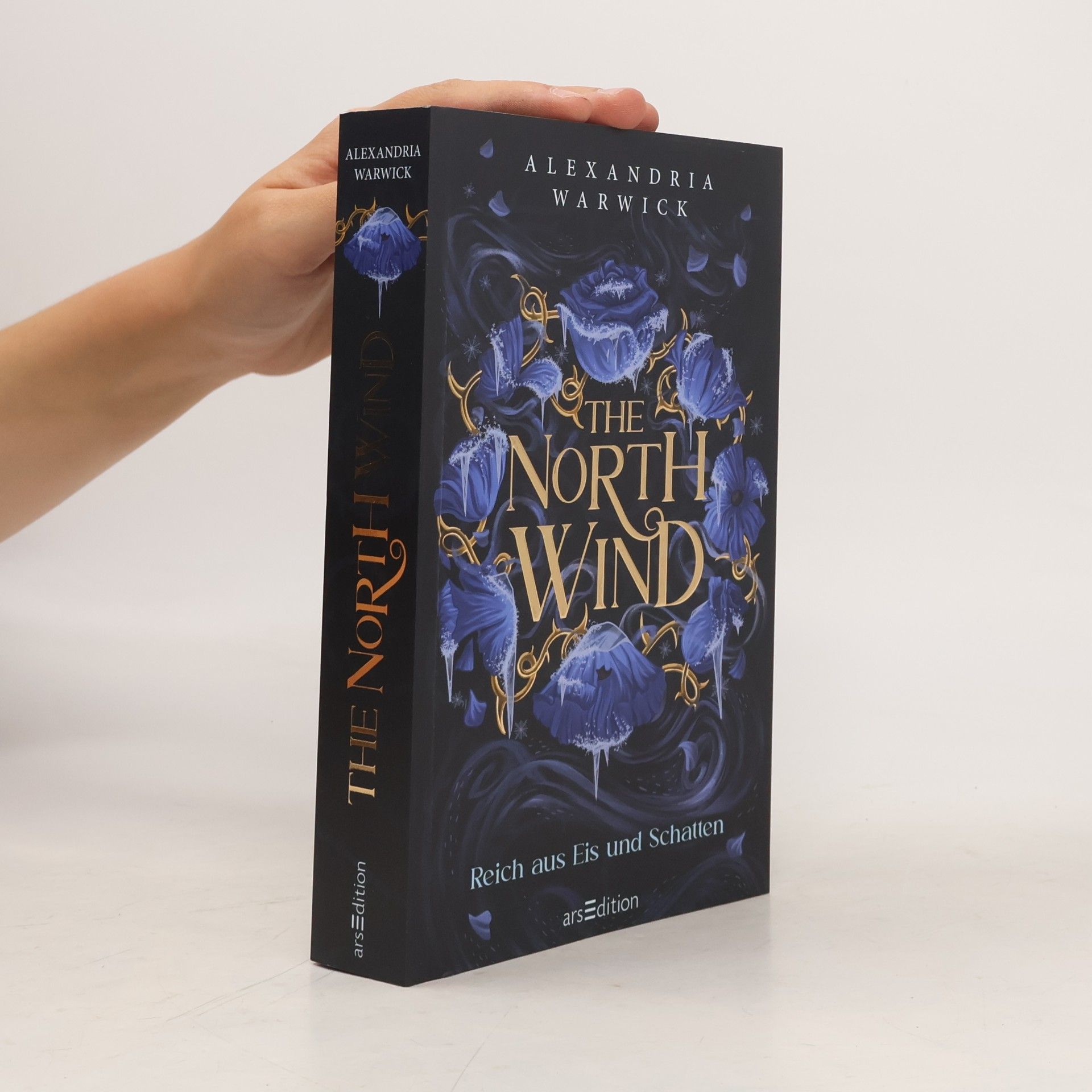 Alexandria Warwick The North Wind - Reich aus Eis und Schatten