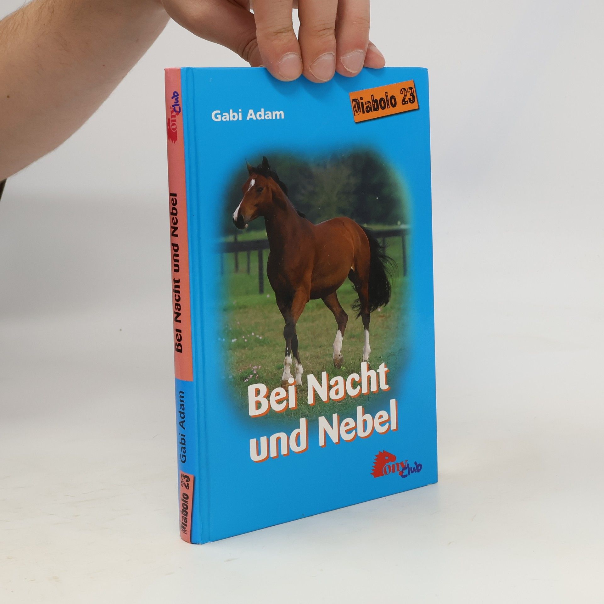 Gabi Adam Bei Nacht und Nebel (Diabolo #23)