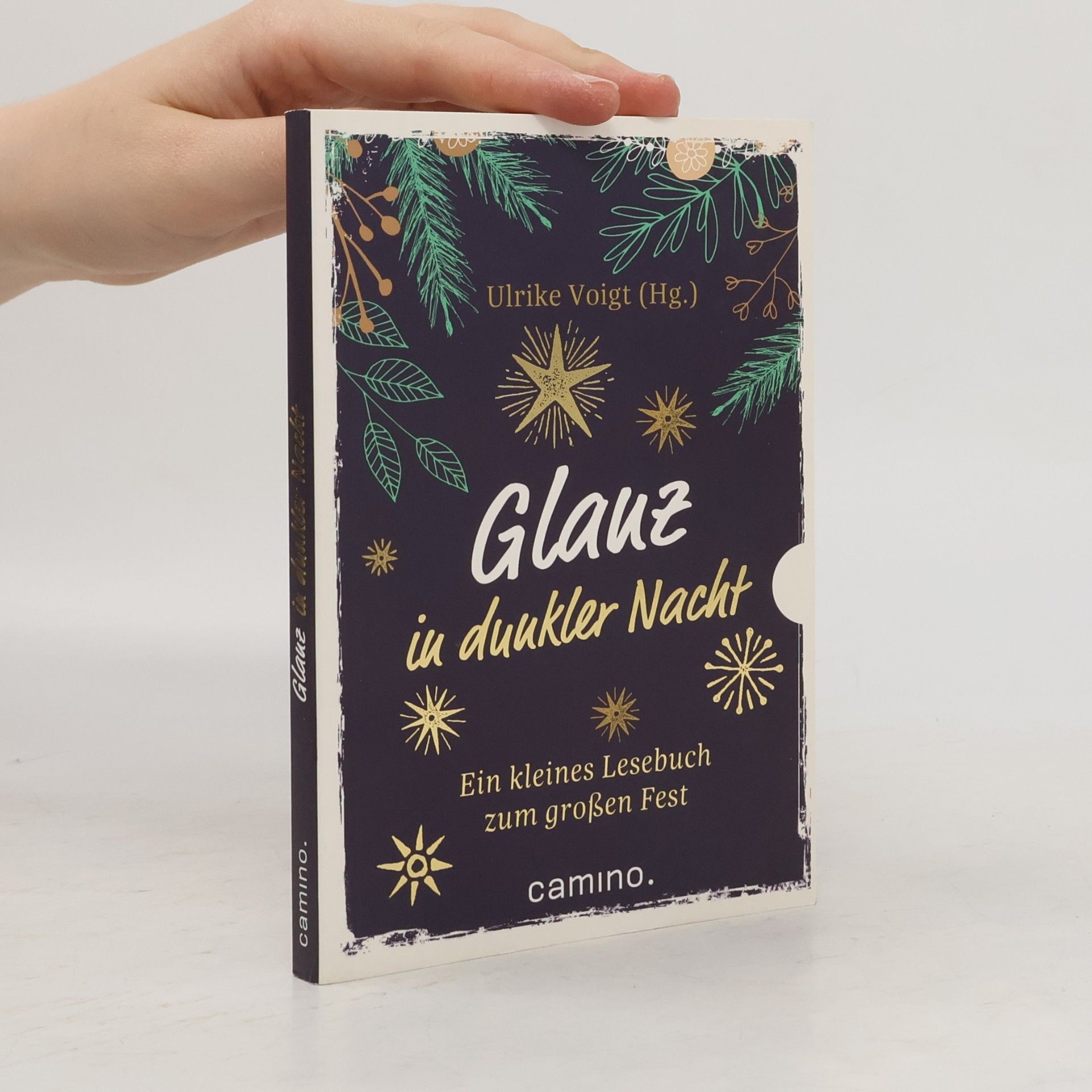 Ulrike Voigt Glanz in dunkler Nacht