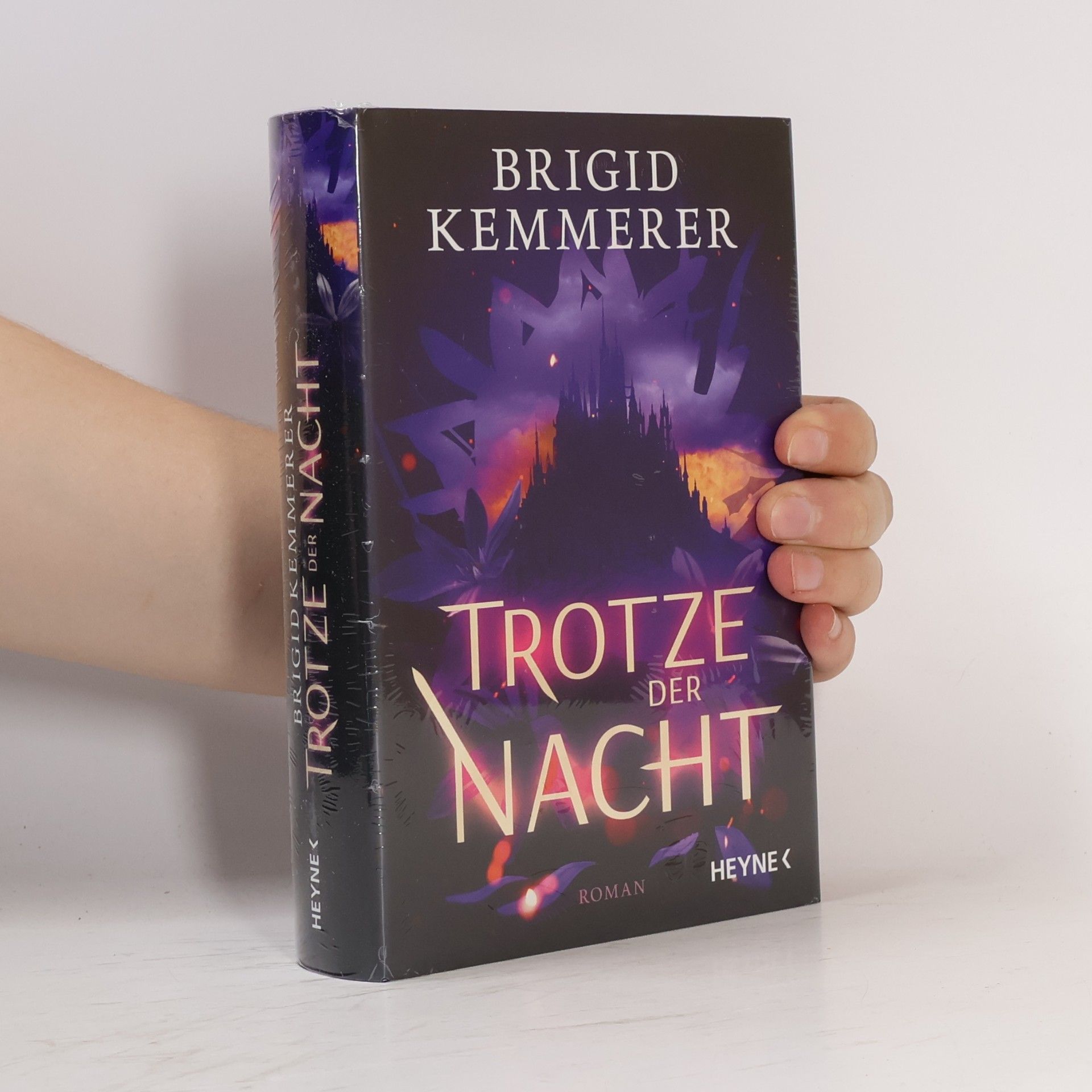 Brigid Kemmerer Trotze der Nacht