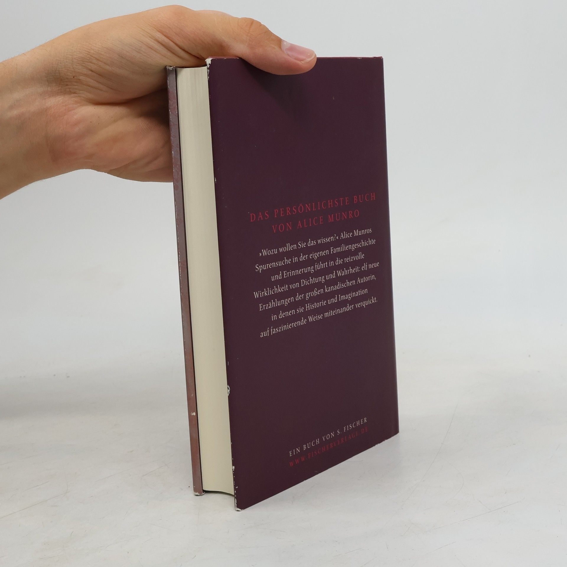 Alice Munro Wozu wollen Sie das wissen?