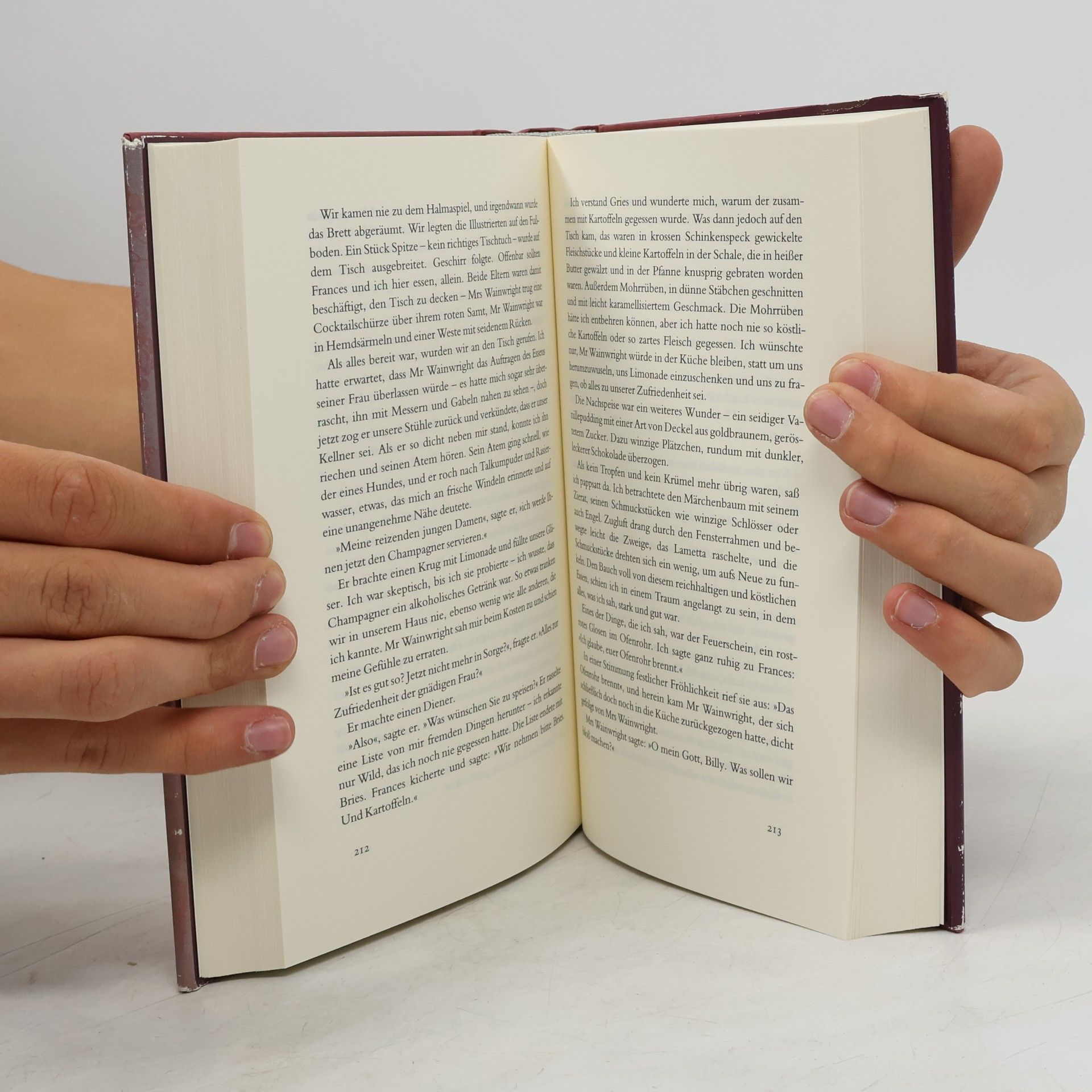 Alice Munro Wozu wollen Sie das wissen?