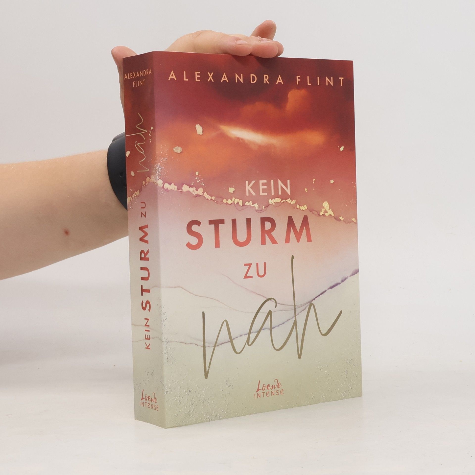 Kein Sturm zu nah (Tales of Sylt, Band 2)