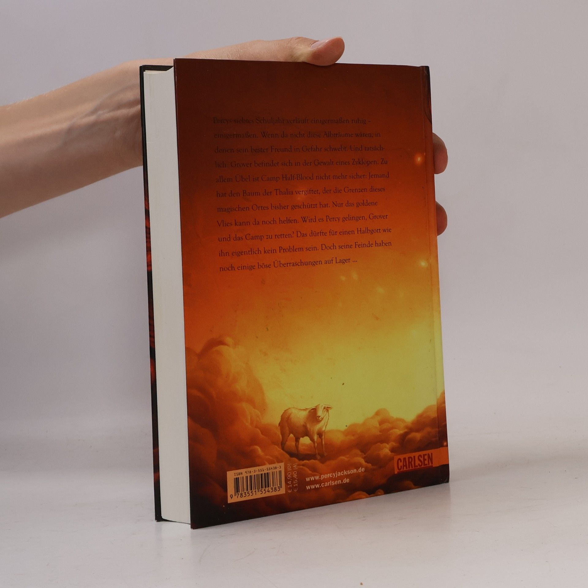 Rick Riordan Percy Jackson Band. Im Bann des Zyklopen