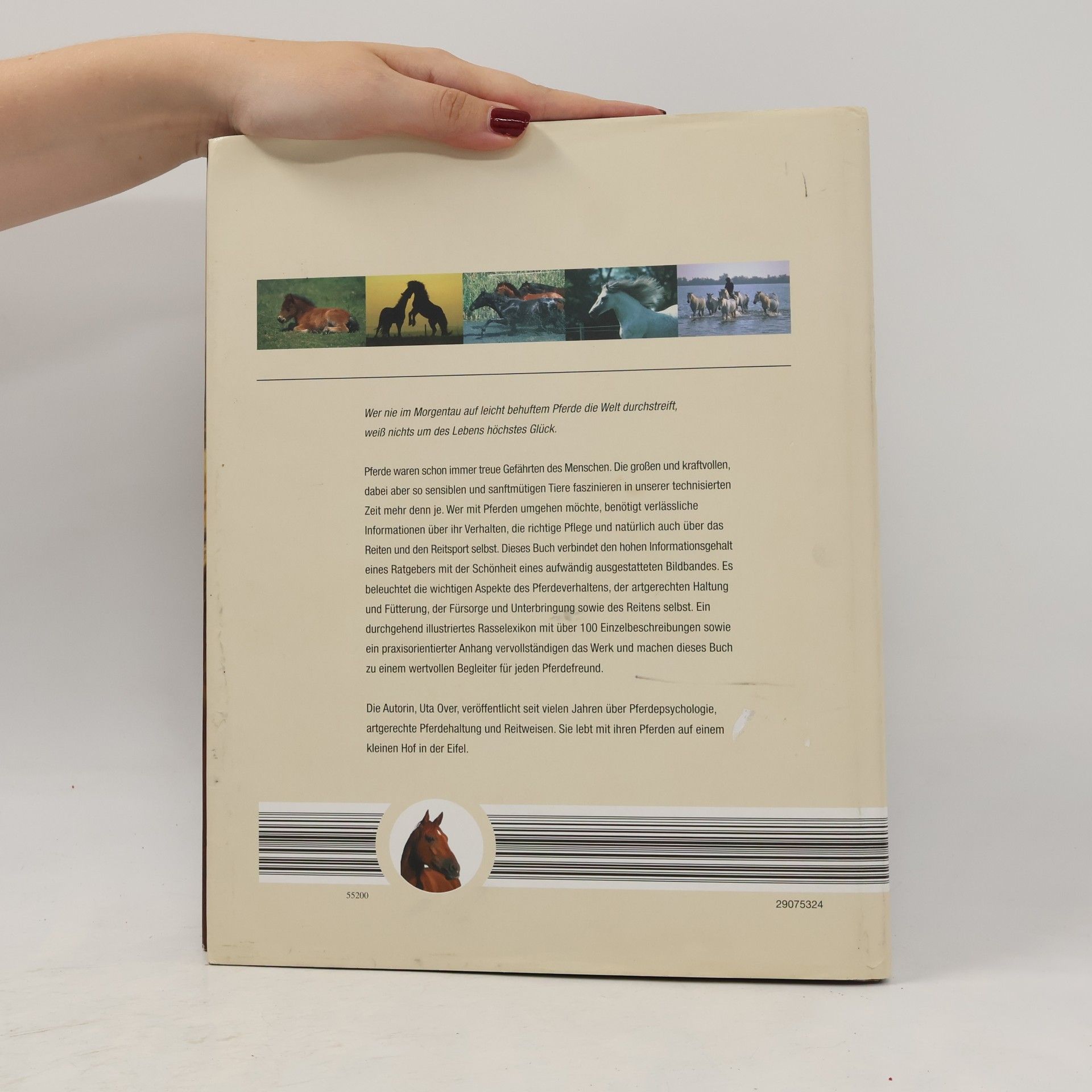 Autorenkollektiv Pferde. Mit der Mähne im Wind
