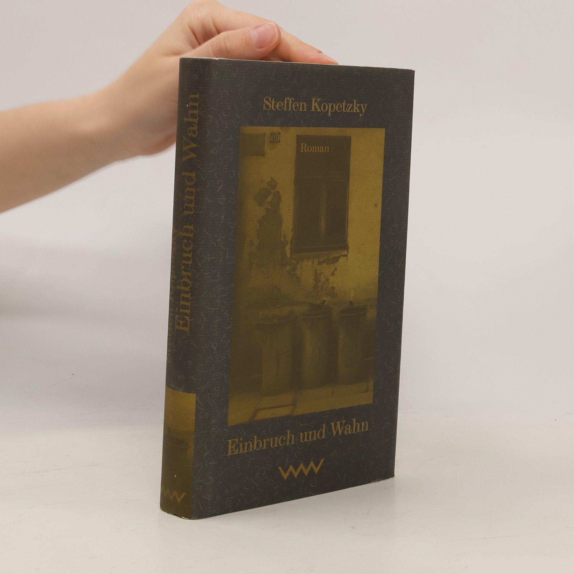 Steffen Kopetzky Einbruch und Wahn