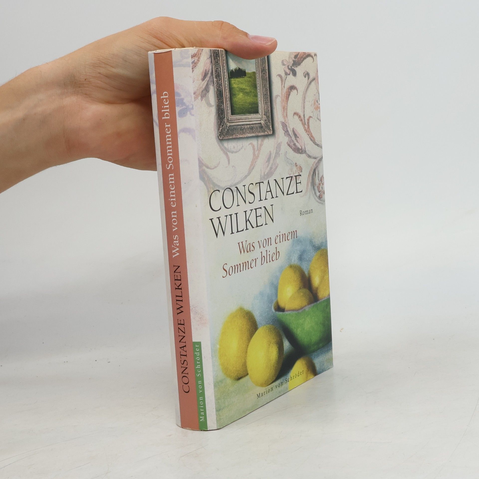 Constanze Wilken Was von einem Sommer blieb