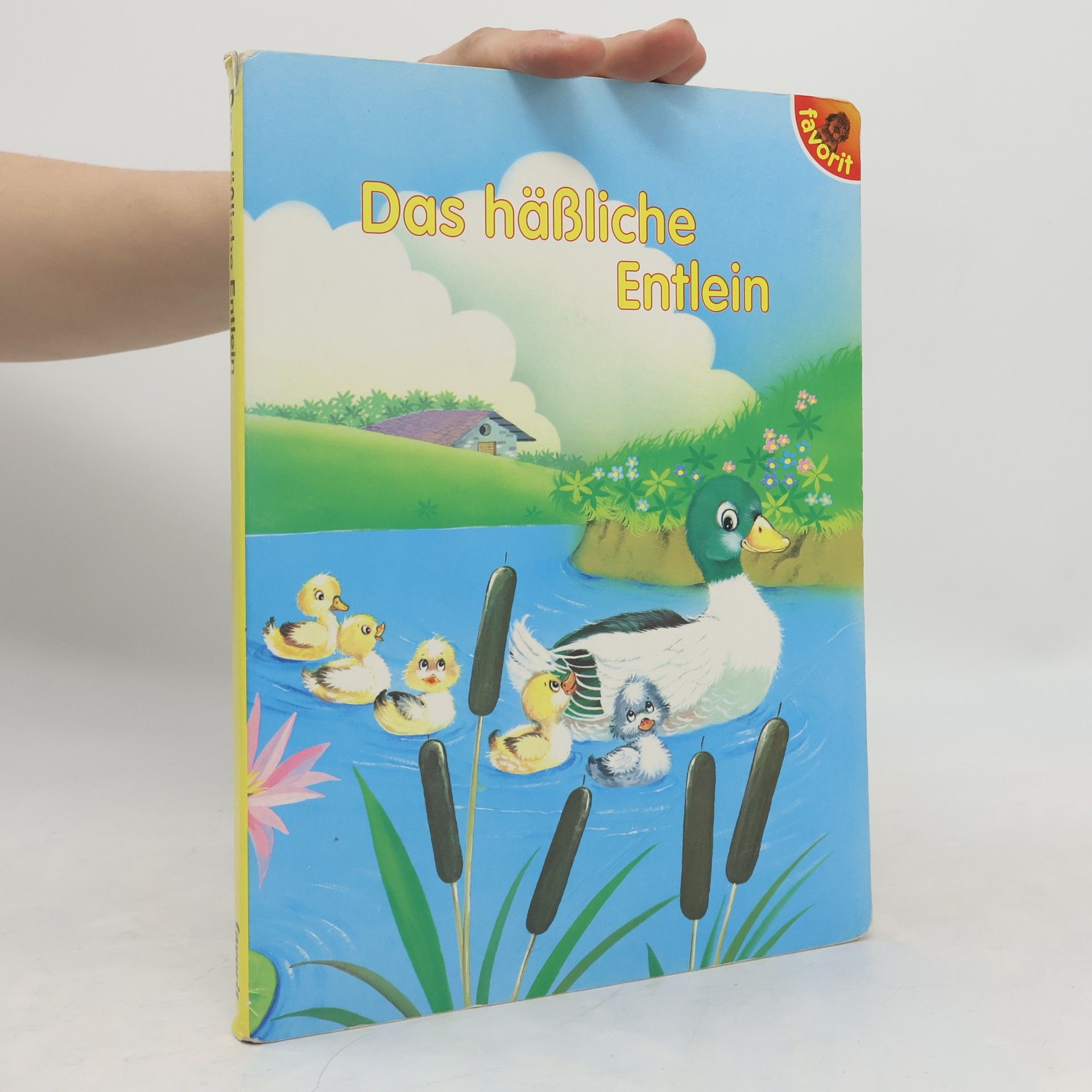Autorenkollektiv Das hässliche Entlein