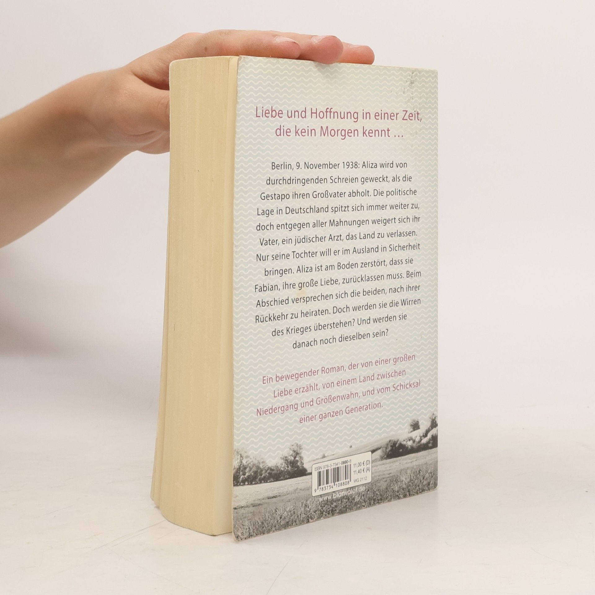 Lilli Beck Mehr als tausend Worte