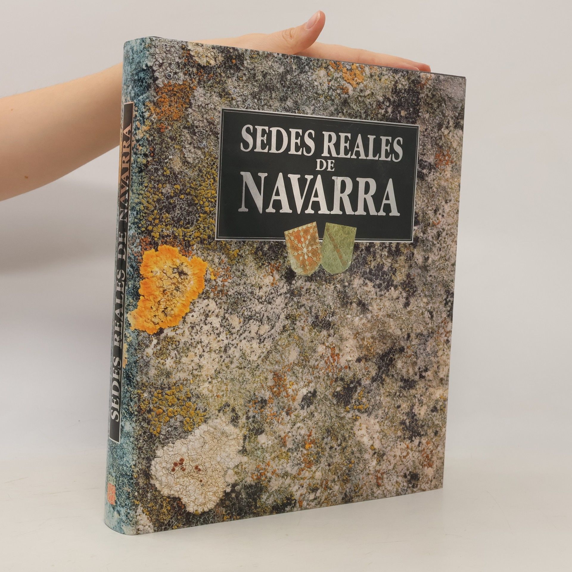 Kolektív autorov Sedes Reales de Navarra
