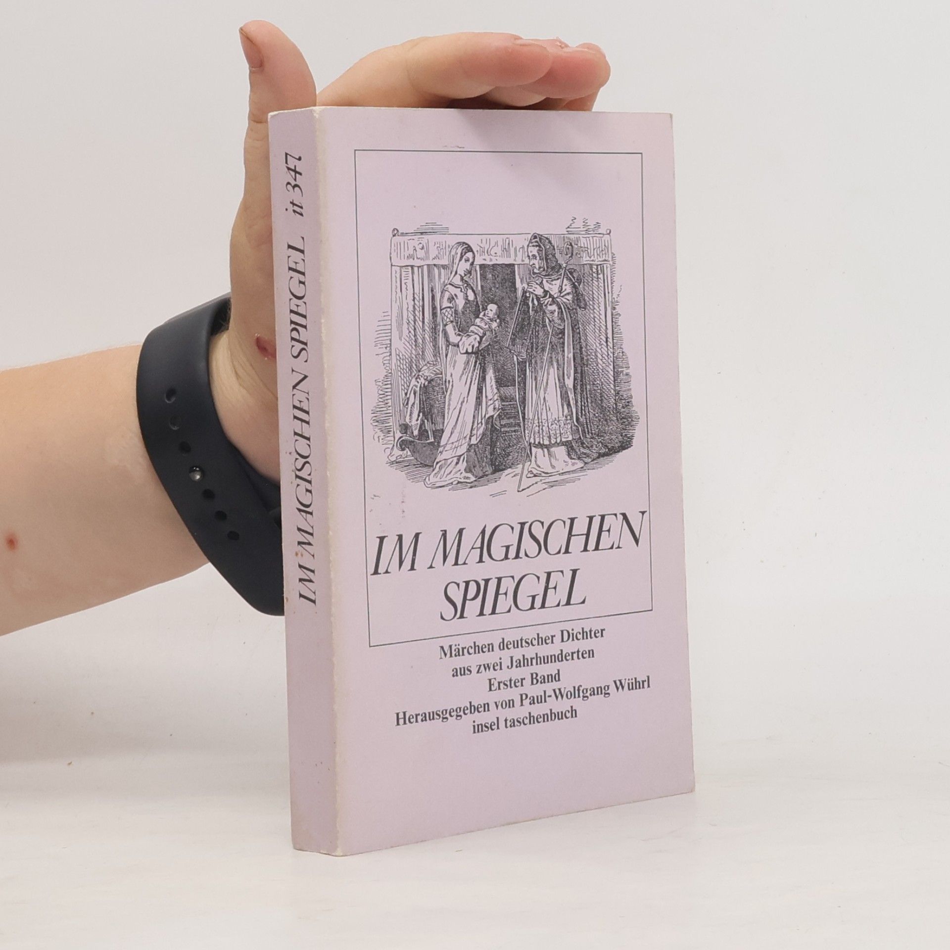 Paul Wolfgang Wührl Insel Taschenbuch - 1: Im magischen Spiegel
