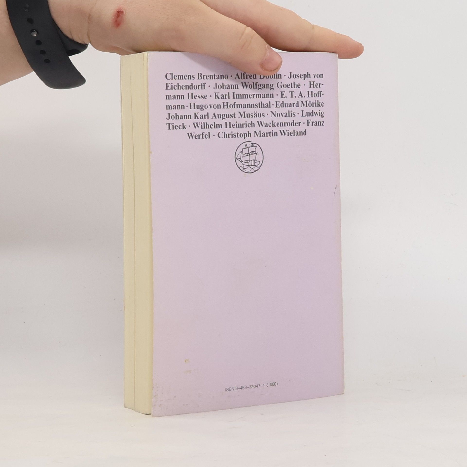 Paul Wolfgang Wührl Insel Taschenbuch - 1: Im magischen Spiegel